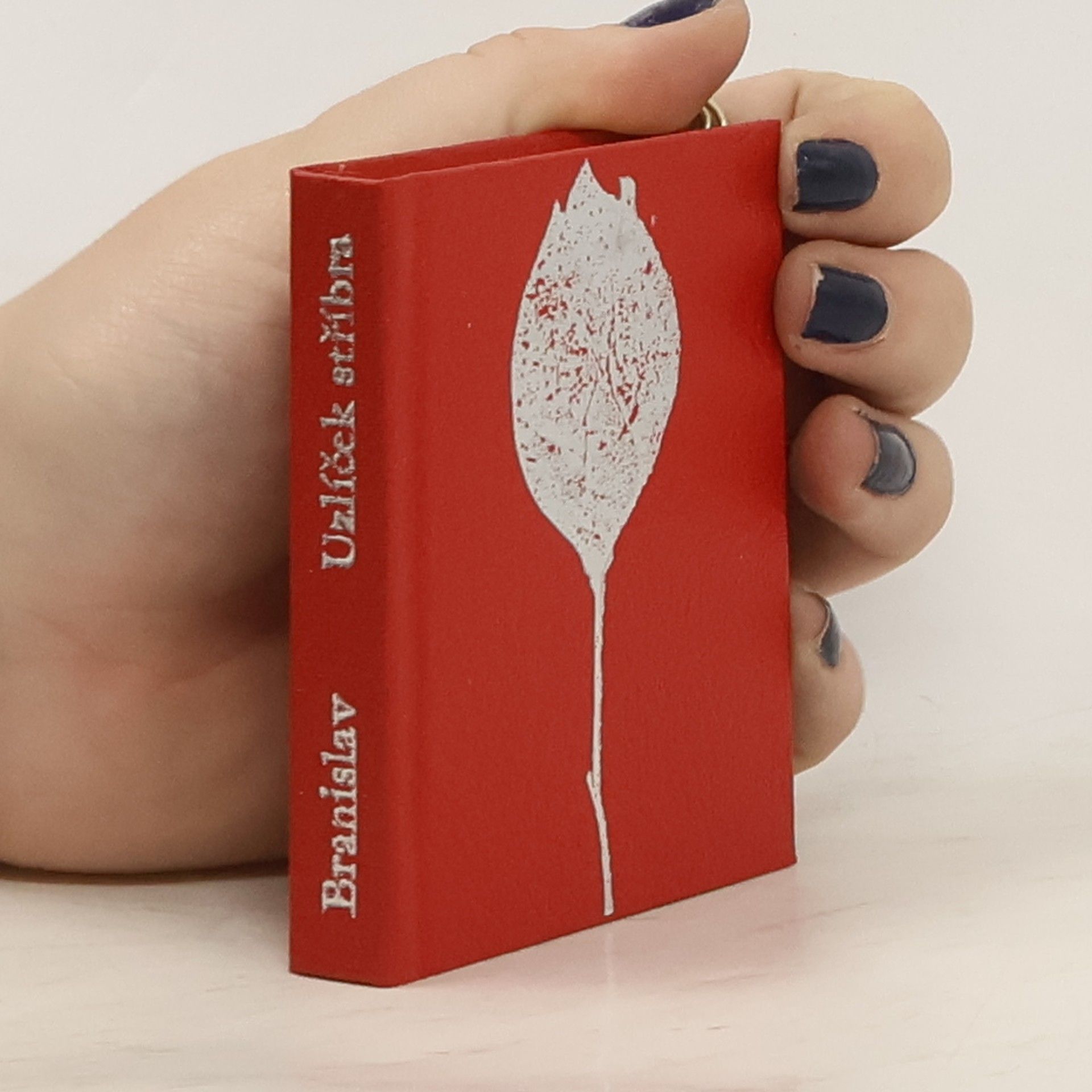 František Branislav Uzlíček stříbra