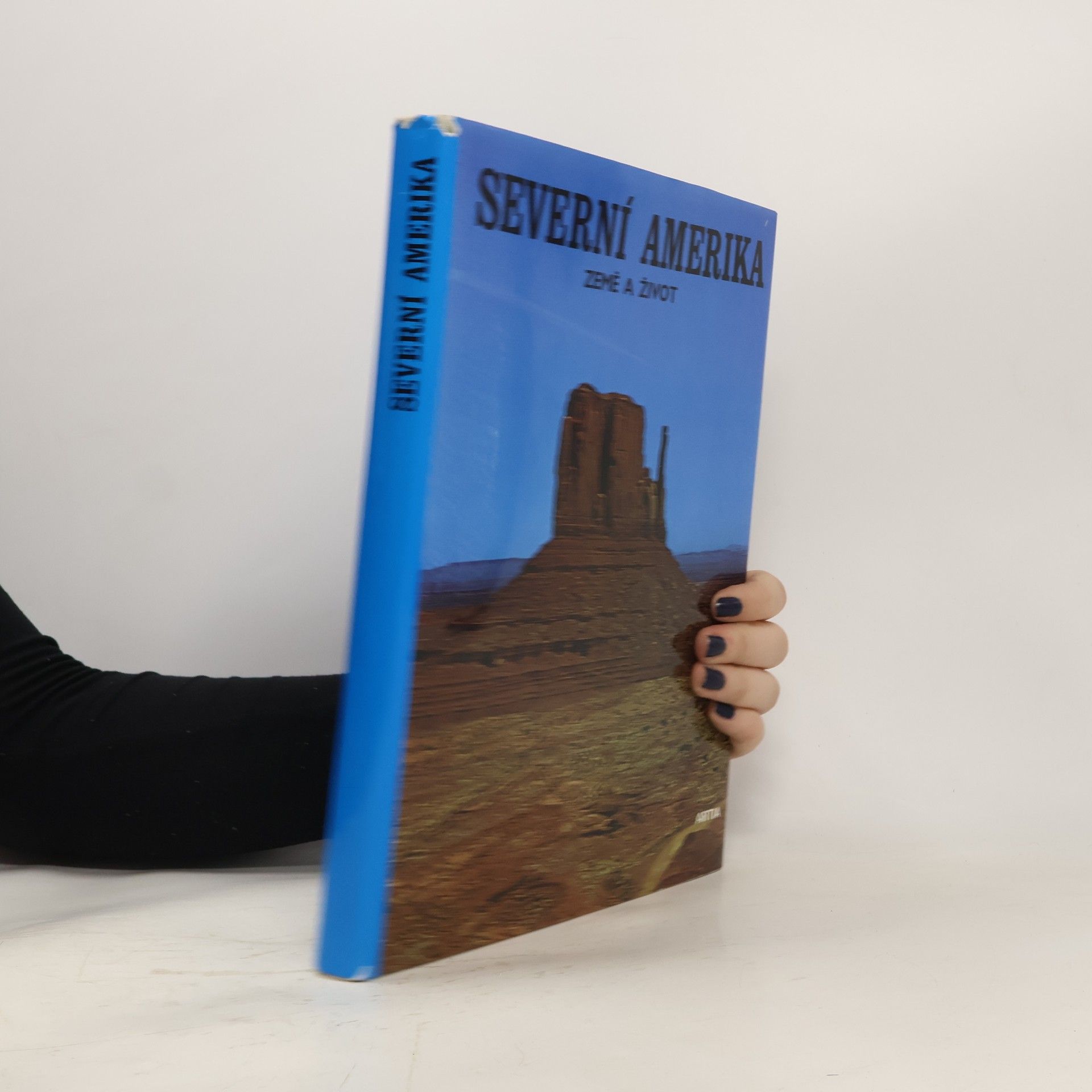 Kolektiv autorů Severní Amerika