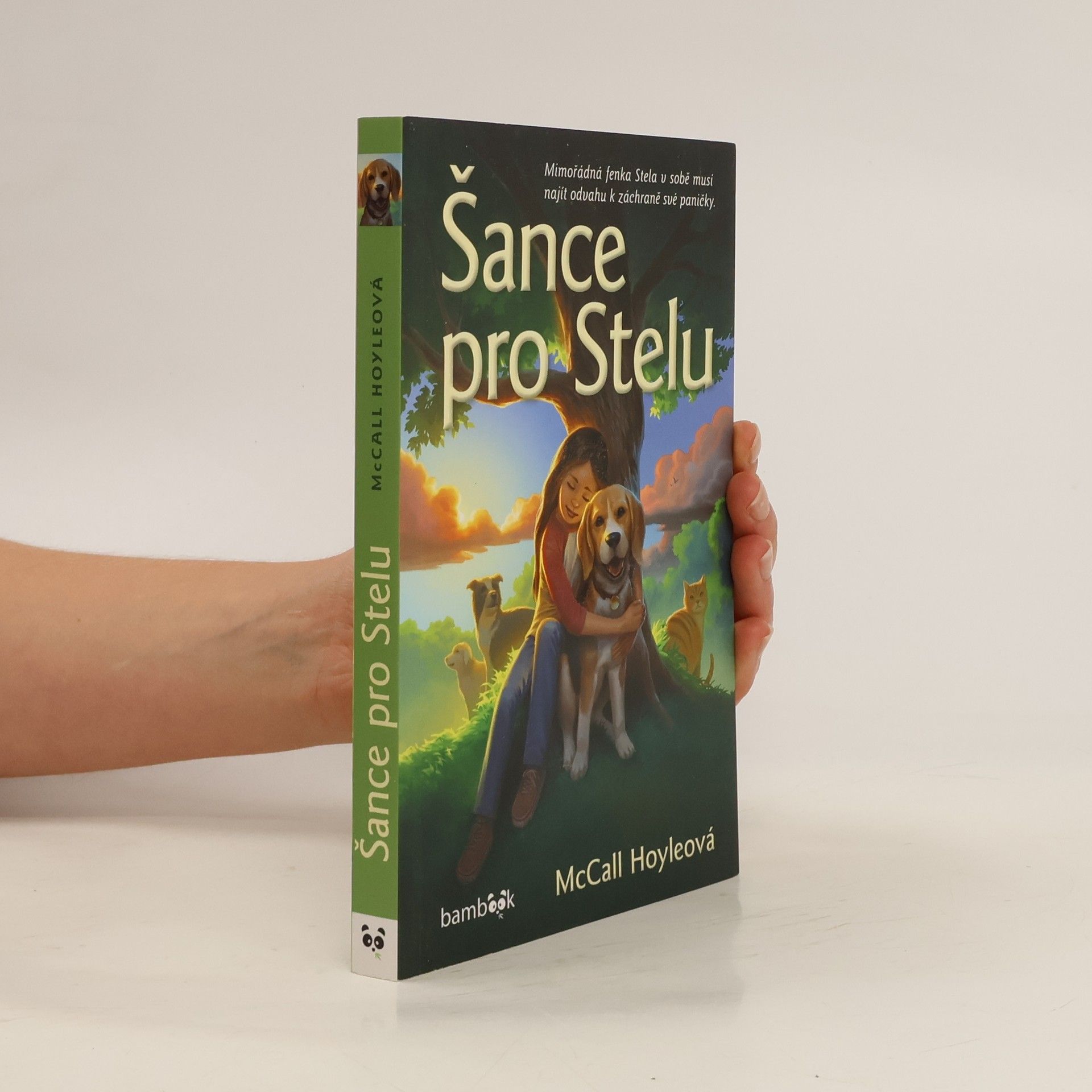 McCall Hoyle Šance pro Stelu