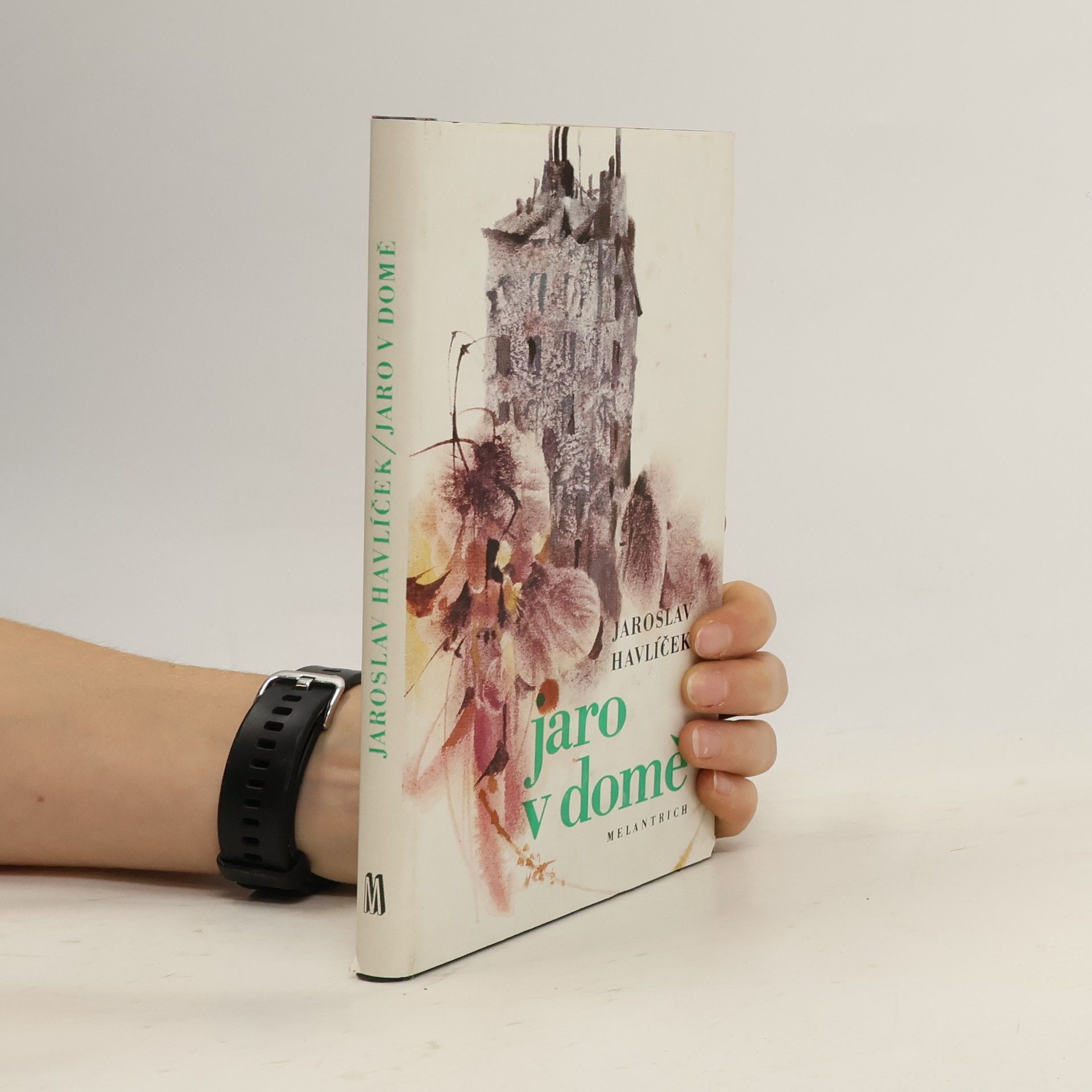 Jaroslav Havlíček Jaro v domě