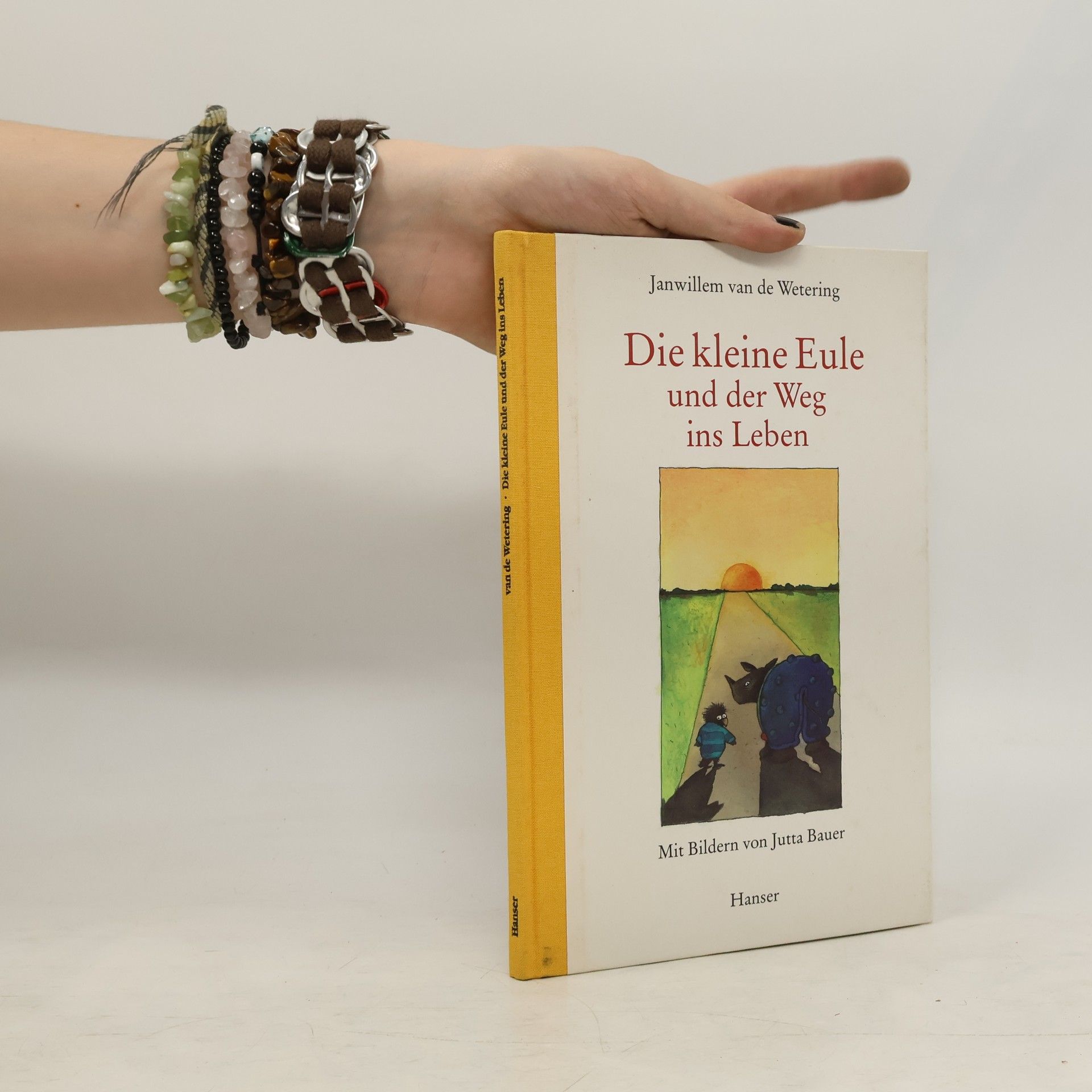 Janwillem van de Wetering Die kleine Eule und der Weg ins Leben