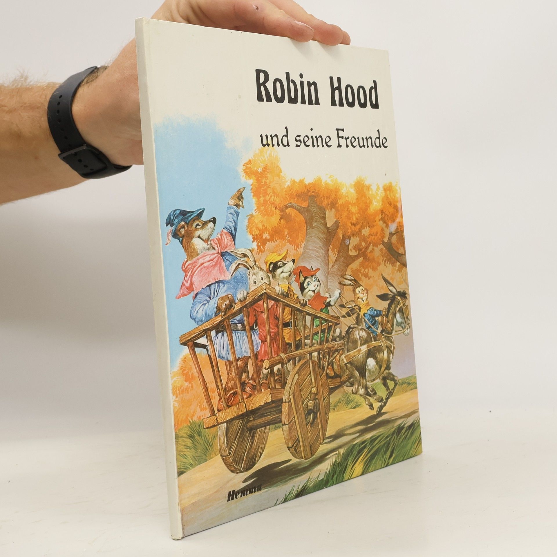 Kolektív autorov Robin Hood und seine Freunde