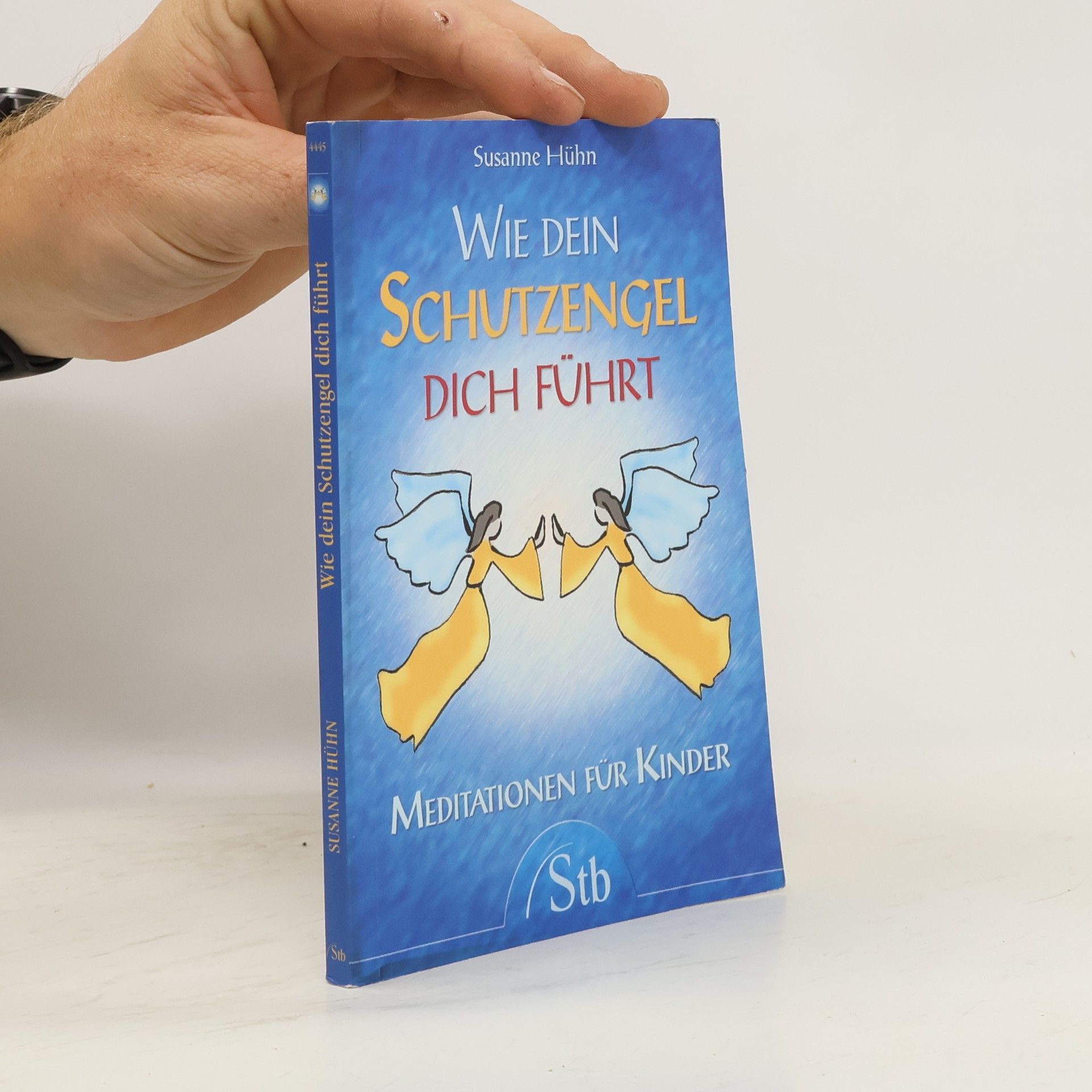 Susanne Hühn Wie dein Schutzengel dich führt