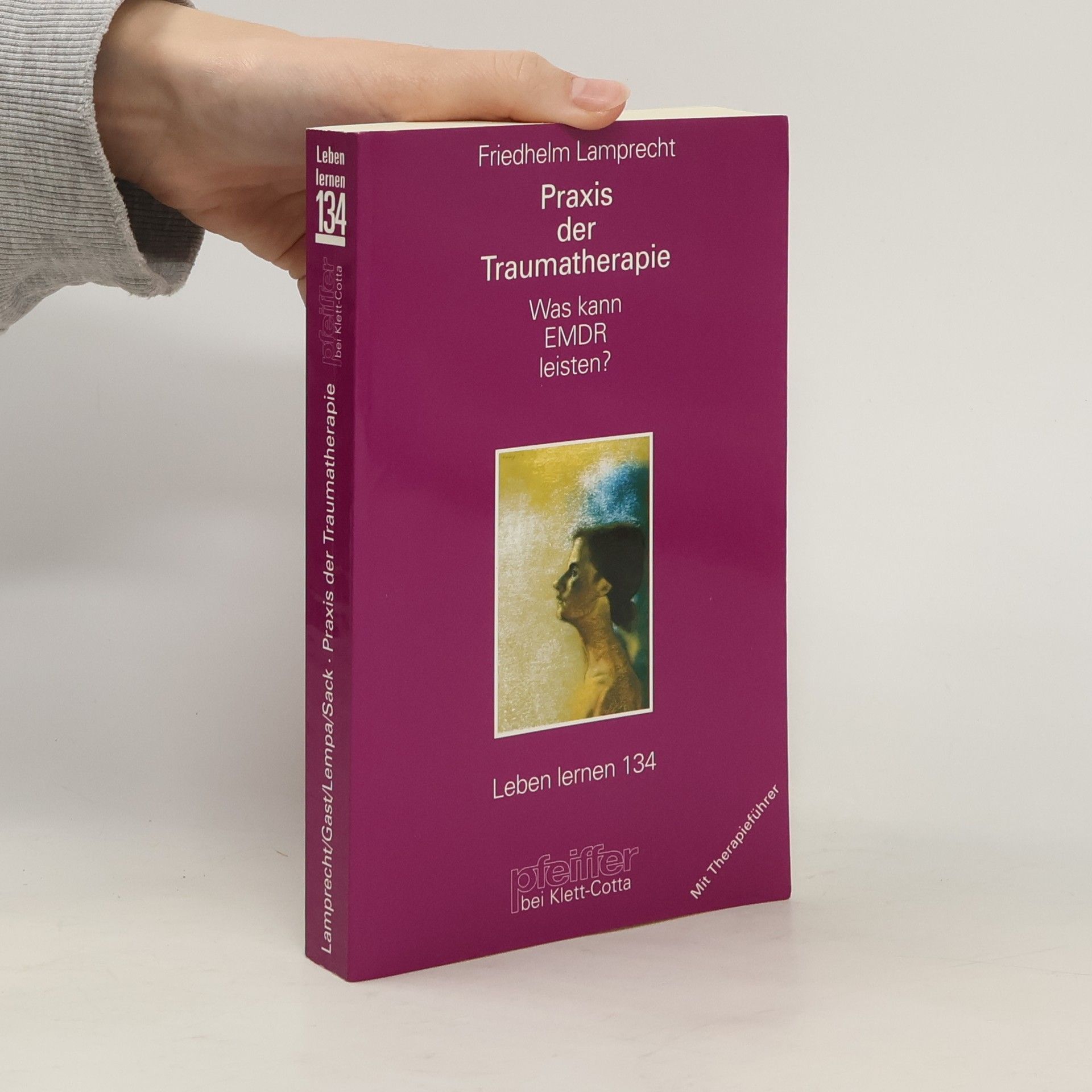 Praxis der Traumatherapie