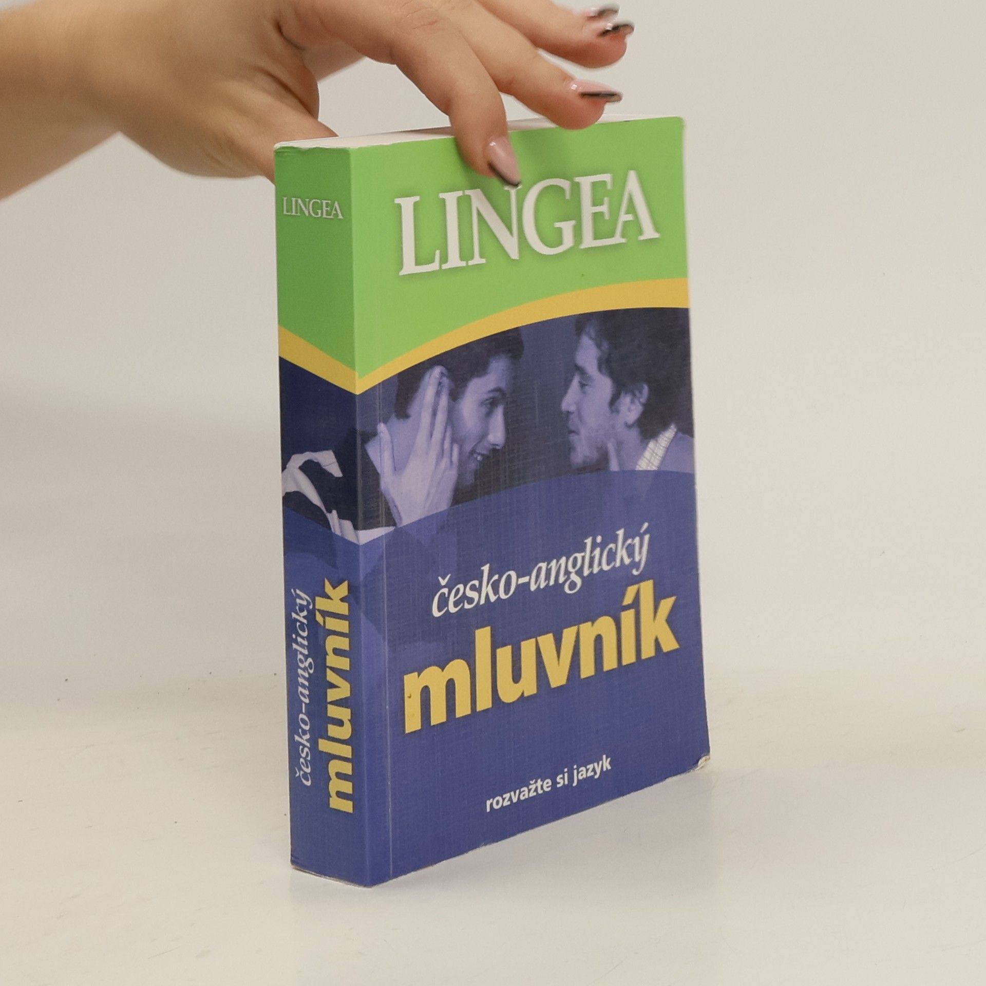 Kolektiv autorů Česko-anglický mluvník