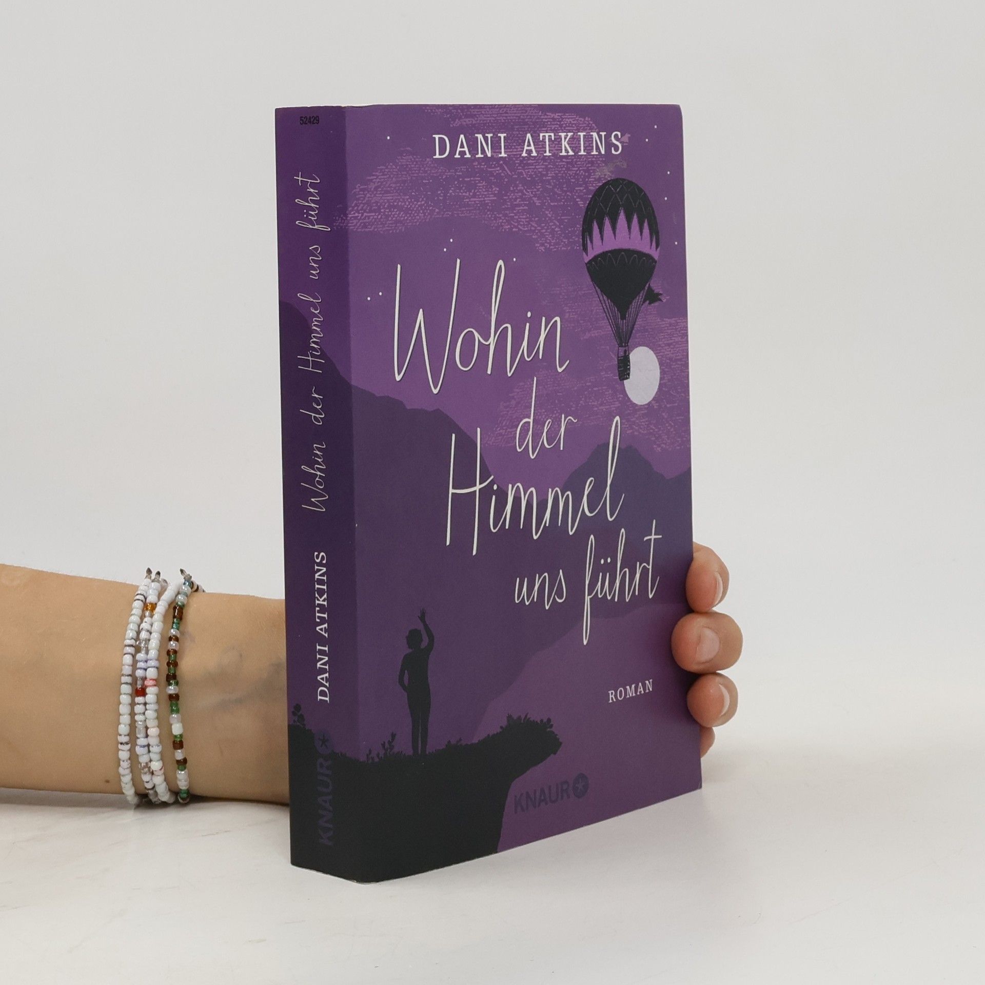 Dani Atkins Wohin der Himmel uns führt