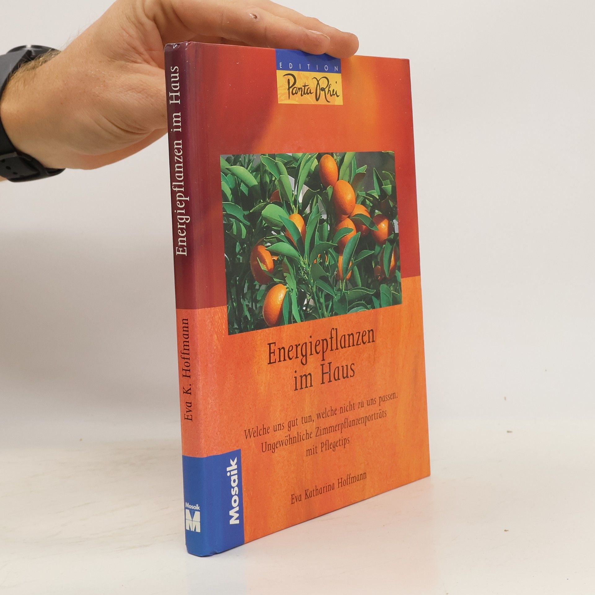 Eva Katharina Hoffmann Energiepflanzen im Haus