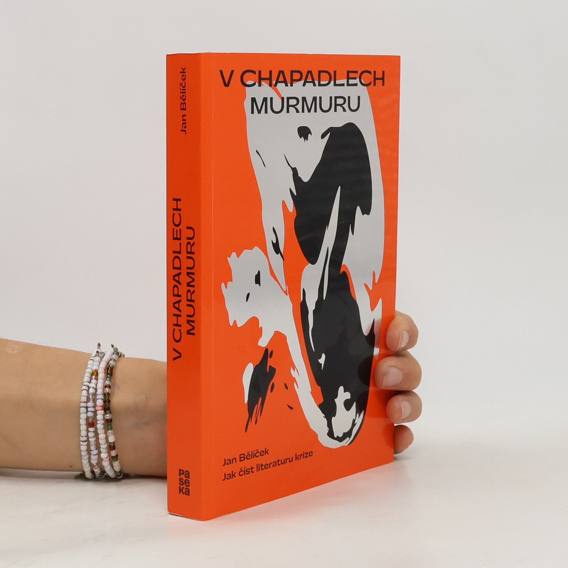 Jan Bělíček V chapadlech murmuru : jak číst literaturu krize