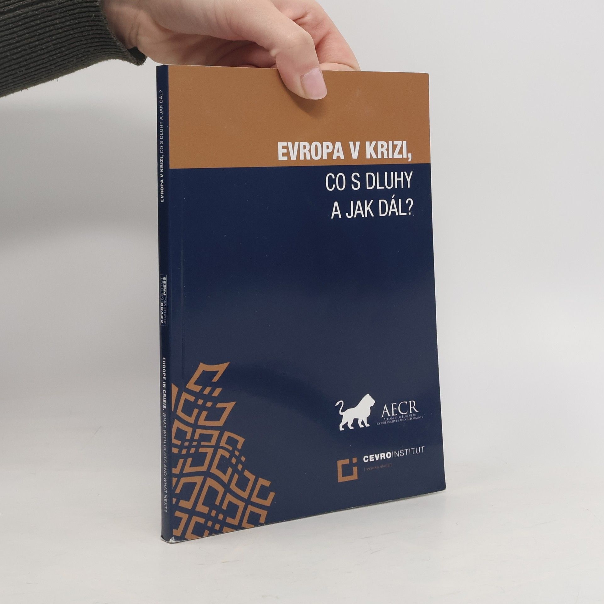 Kolektív autorov Evropa v krizi, co s dluhy a jak dál? Europe in crisis, what with debts and what next?