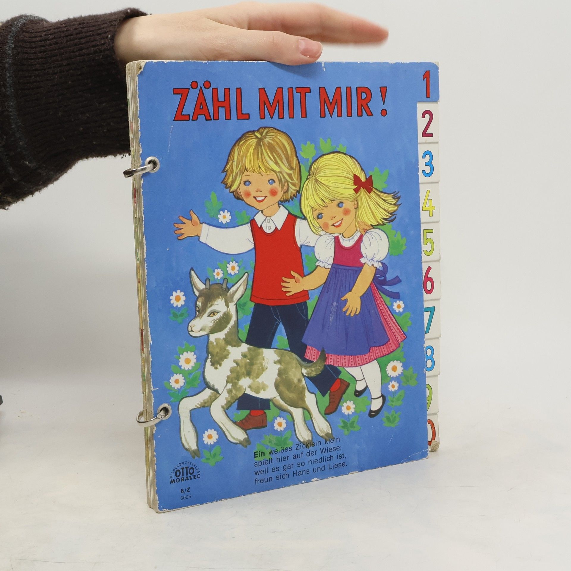 Autorenkollektiv Wir zählen Tiere!