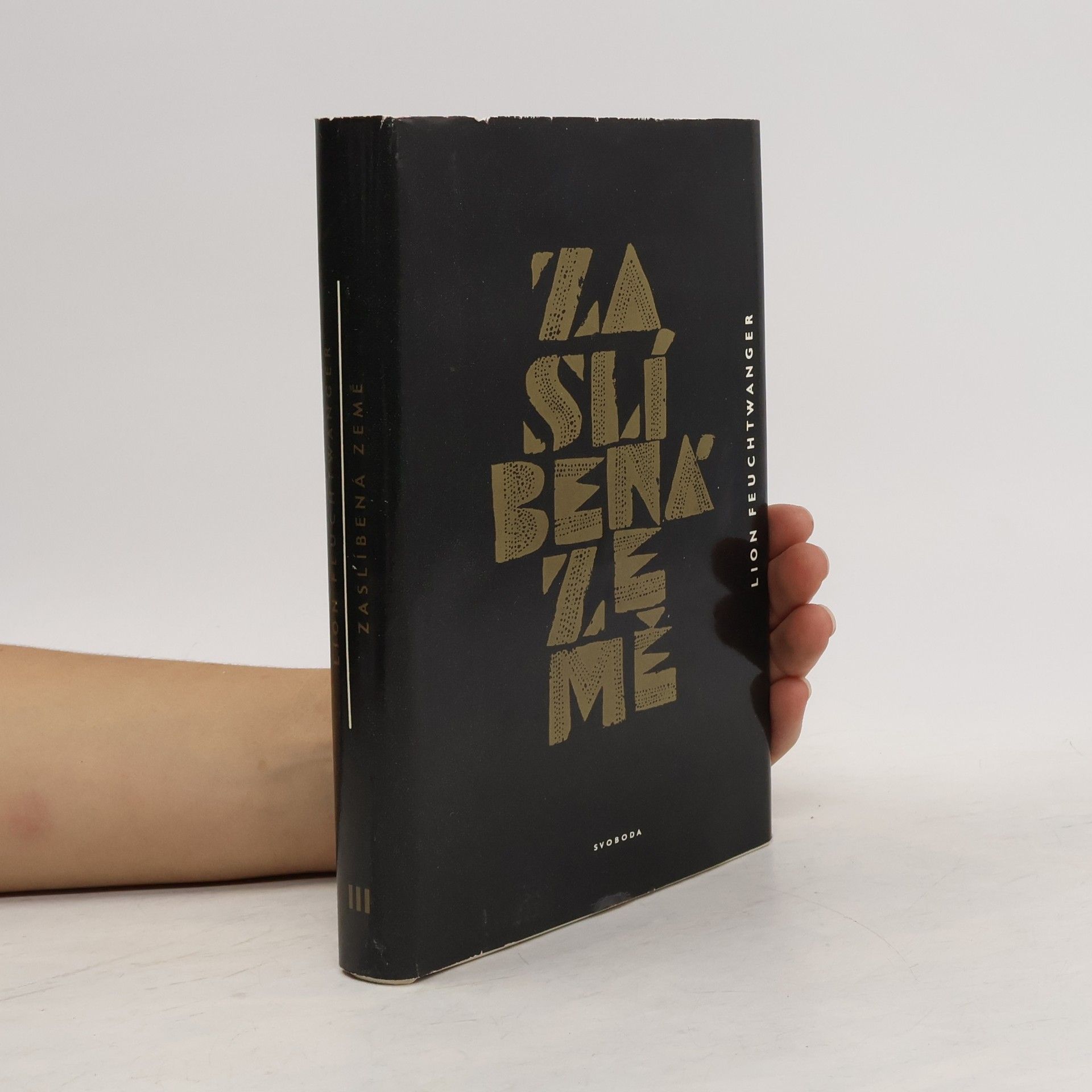 Lion Feuchtwanger Zaslíbená země