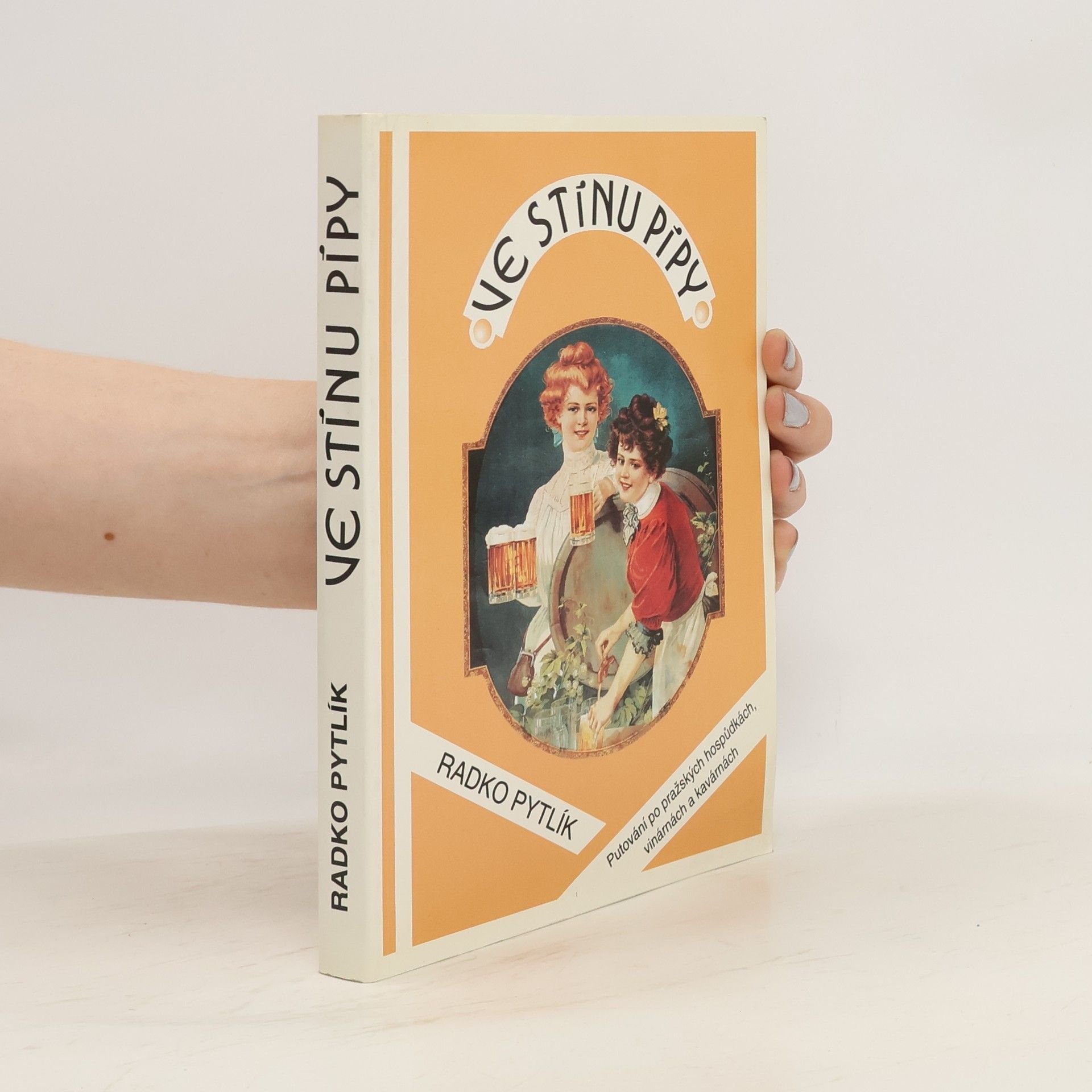 Radko Pytlík Ve stínu pípy. Hovory a fantazie