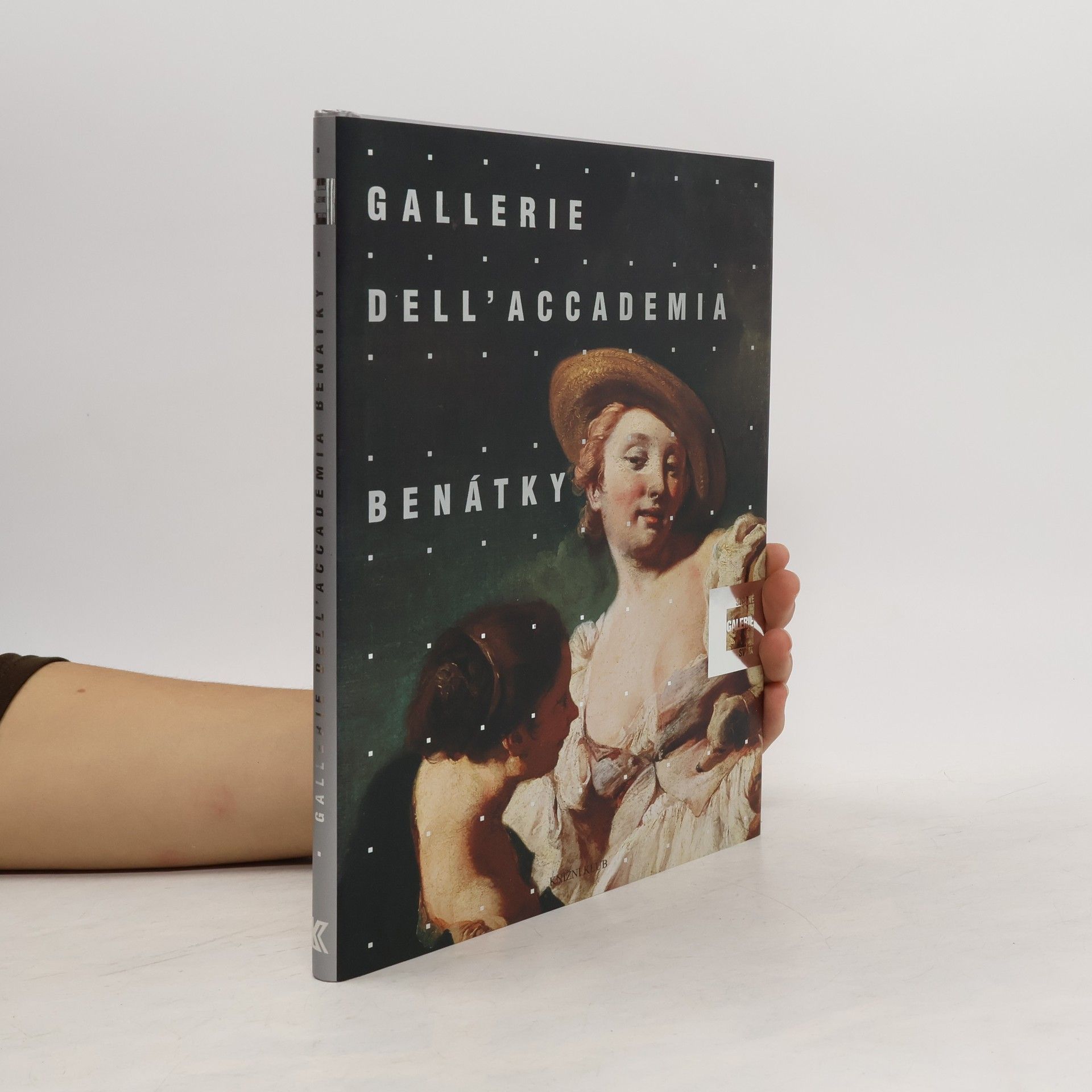 Gallerie dell'Accademia Benátky