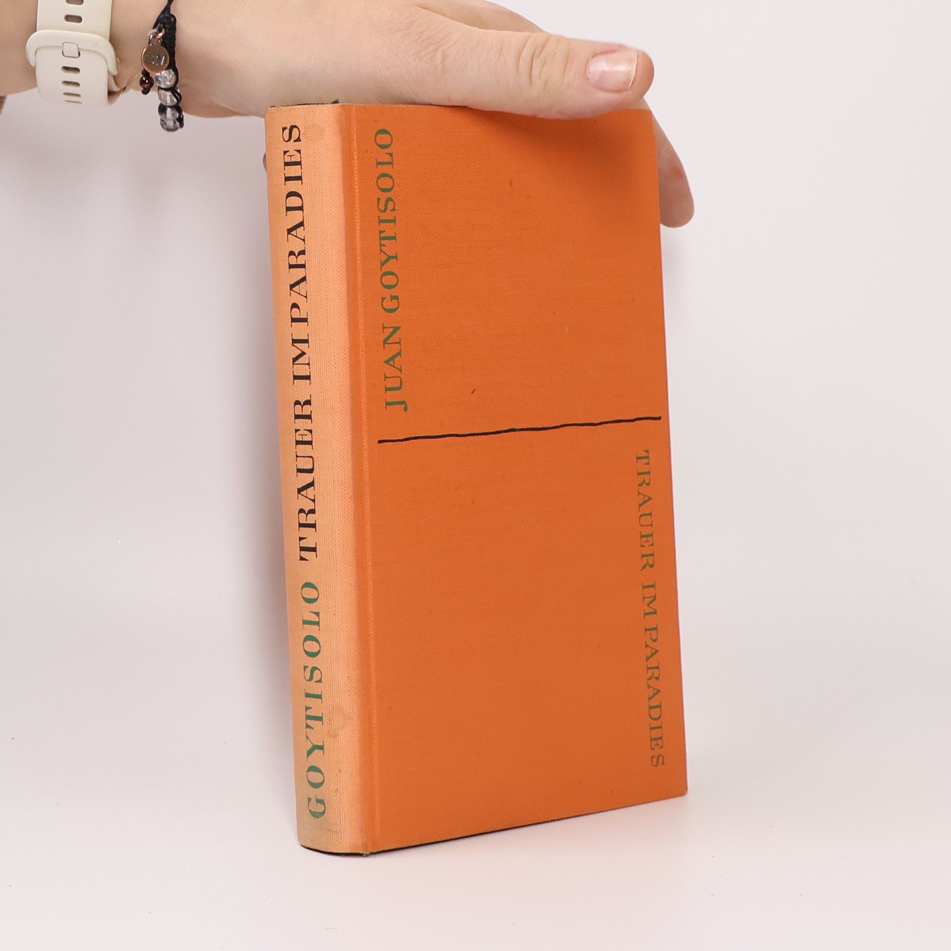 Juan Goytisolo Trauer im Paradies