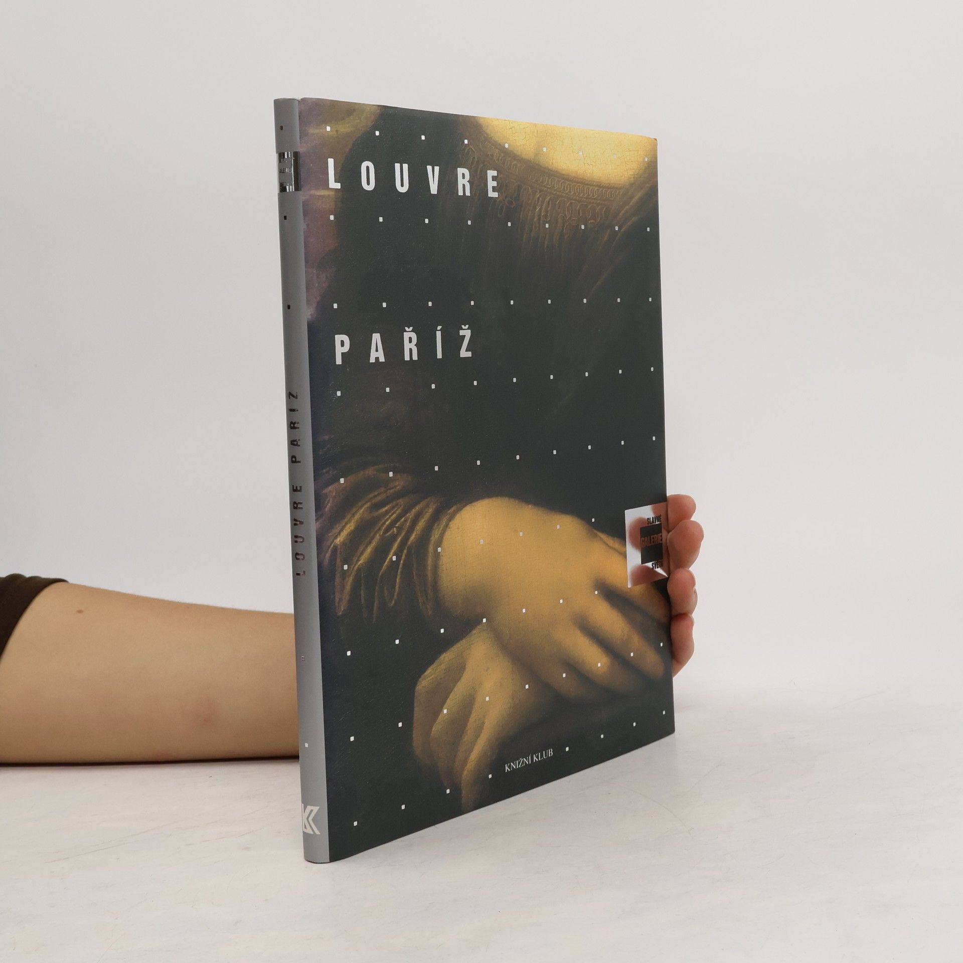 Alessandra Fregolent Slavné galerie světa. Louvre - Paříž