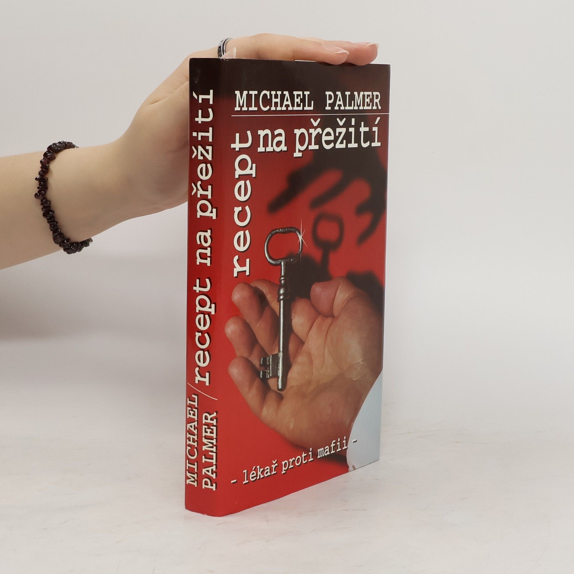 Michael Palmer Recept na přežití
