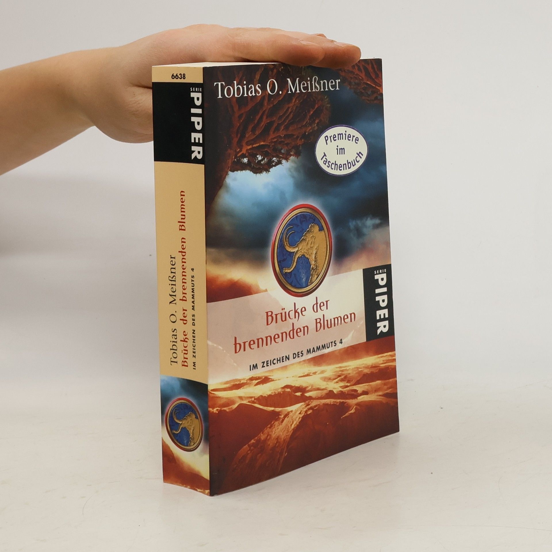 Tobias O. Meißner Brücke der brennenden Blumen