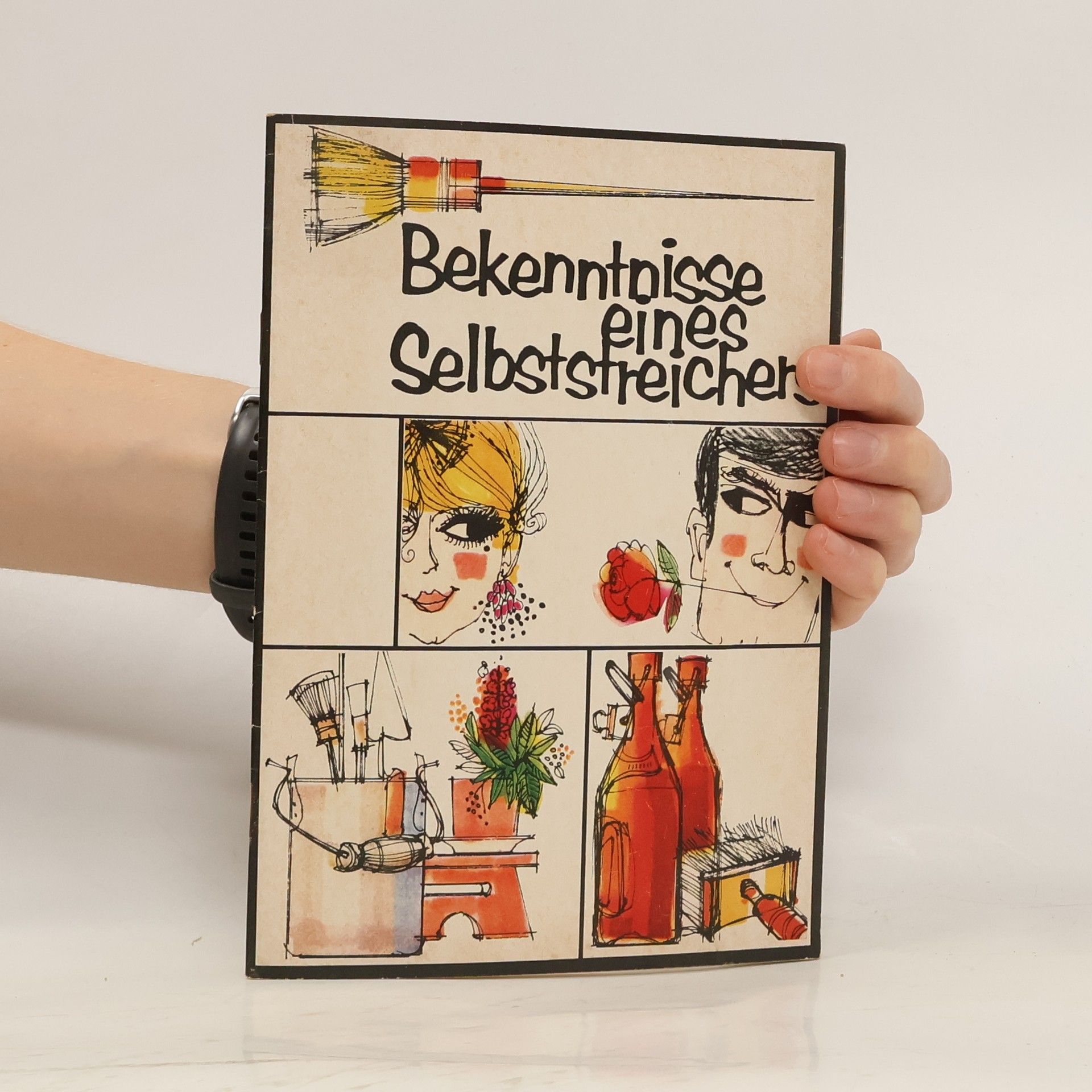 Autorenkollektiv Bekenntnisse eines Selbststreichers