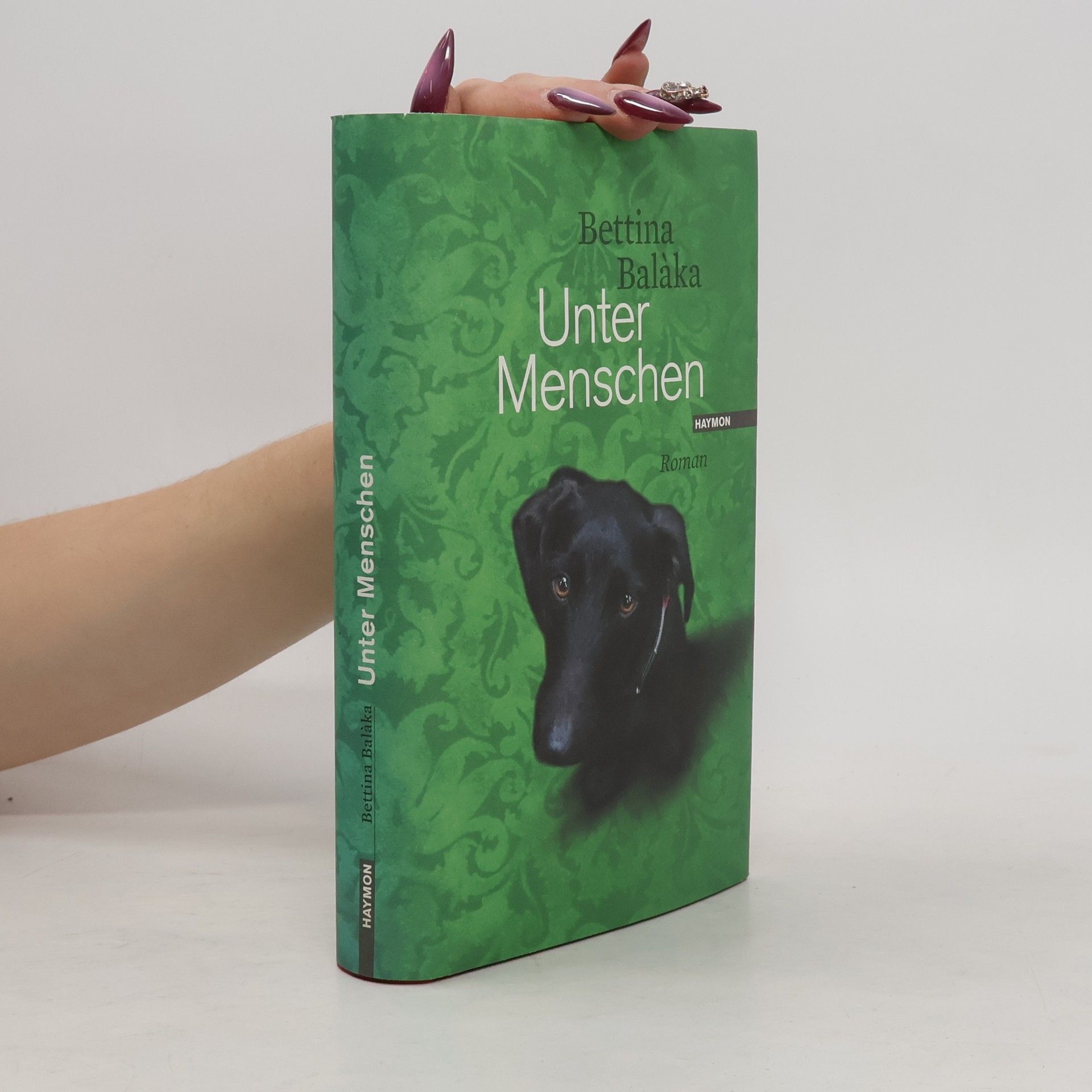 Bettina Balàka Unter Menschen