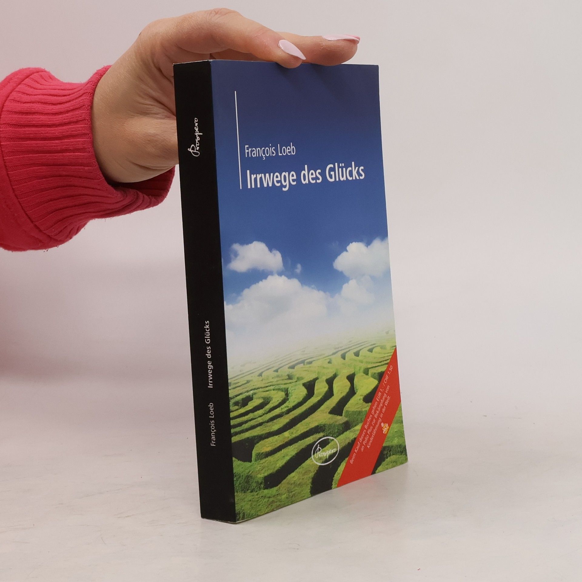 François Loeb Irrwege des Glücks