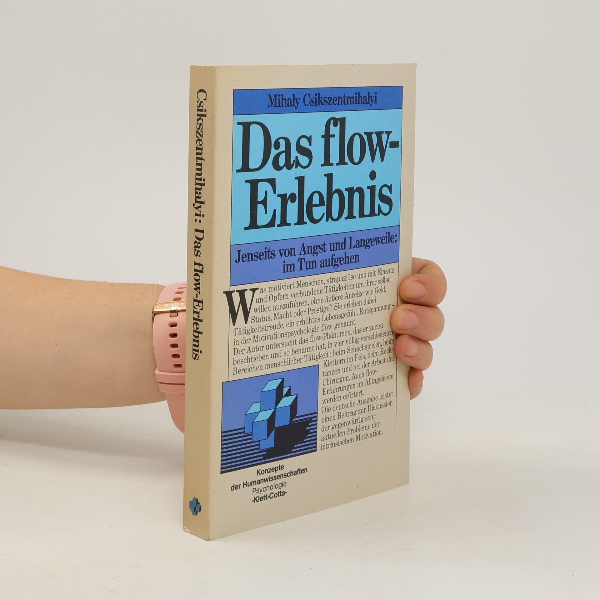 Das Flow-Erlebnis