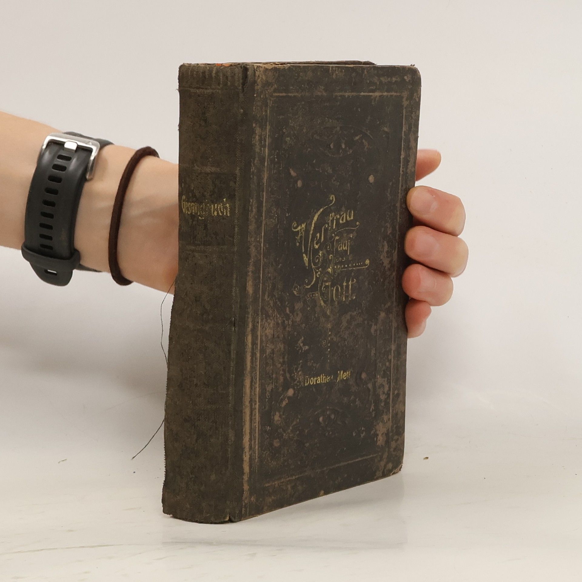 Collectif d'auteurs Evangelisch-Lutherisches Gesangbuch