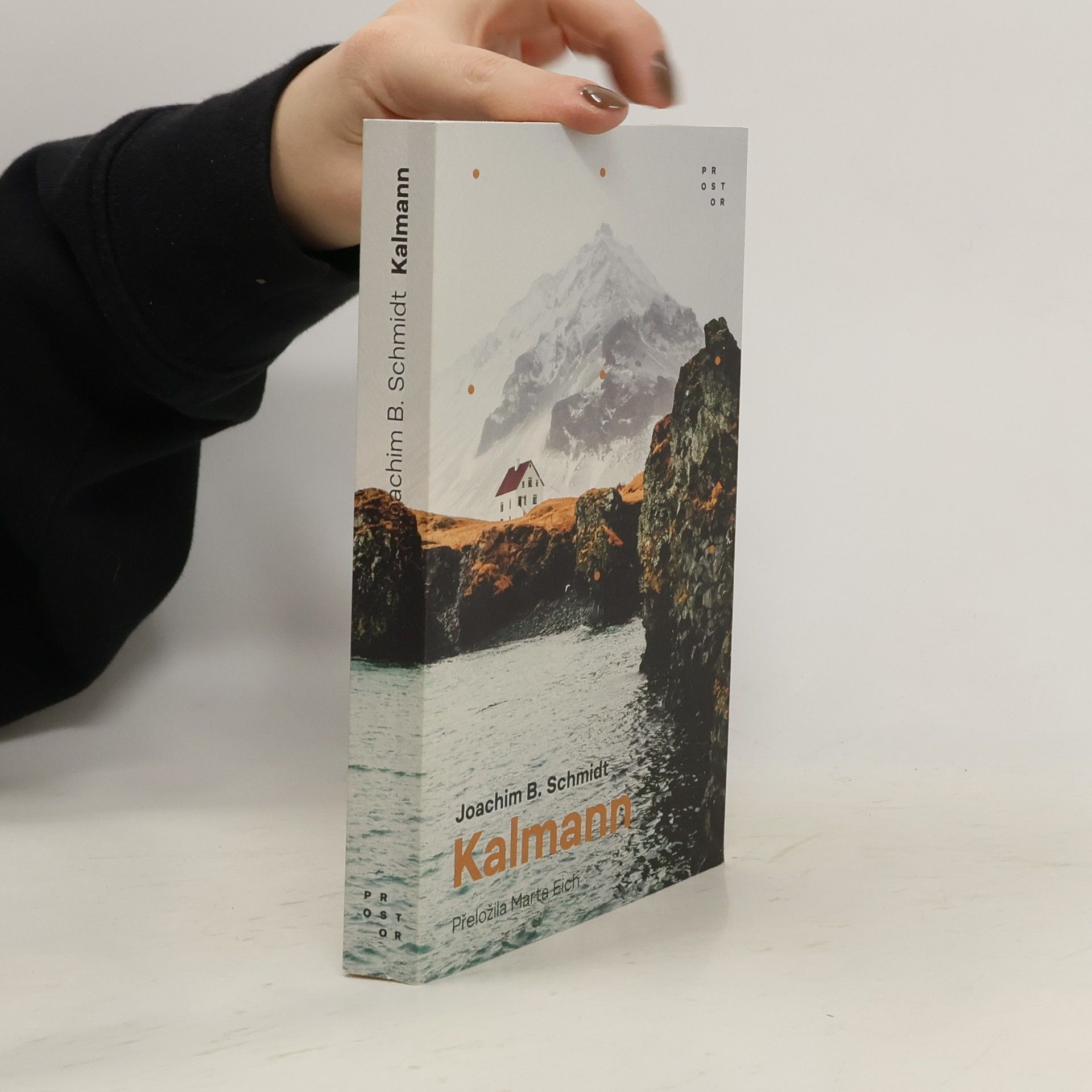 Joachim B. Schmidt Kalmann