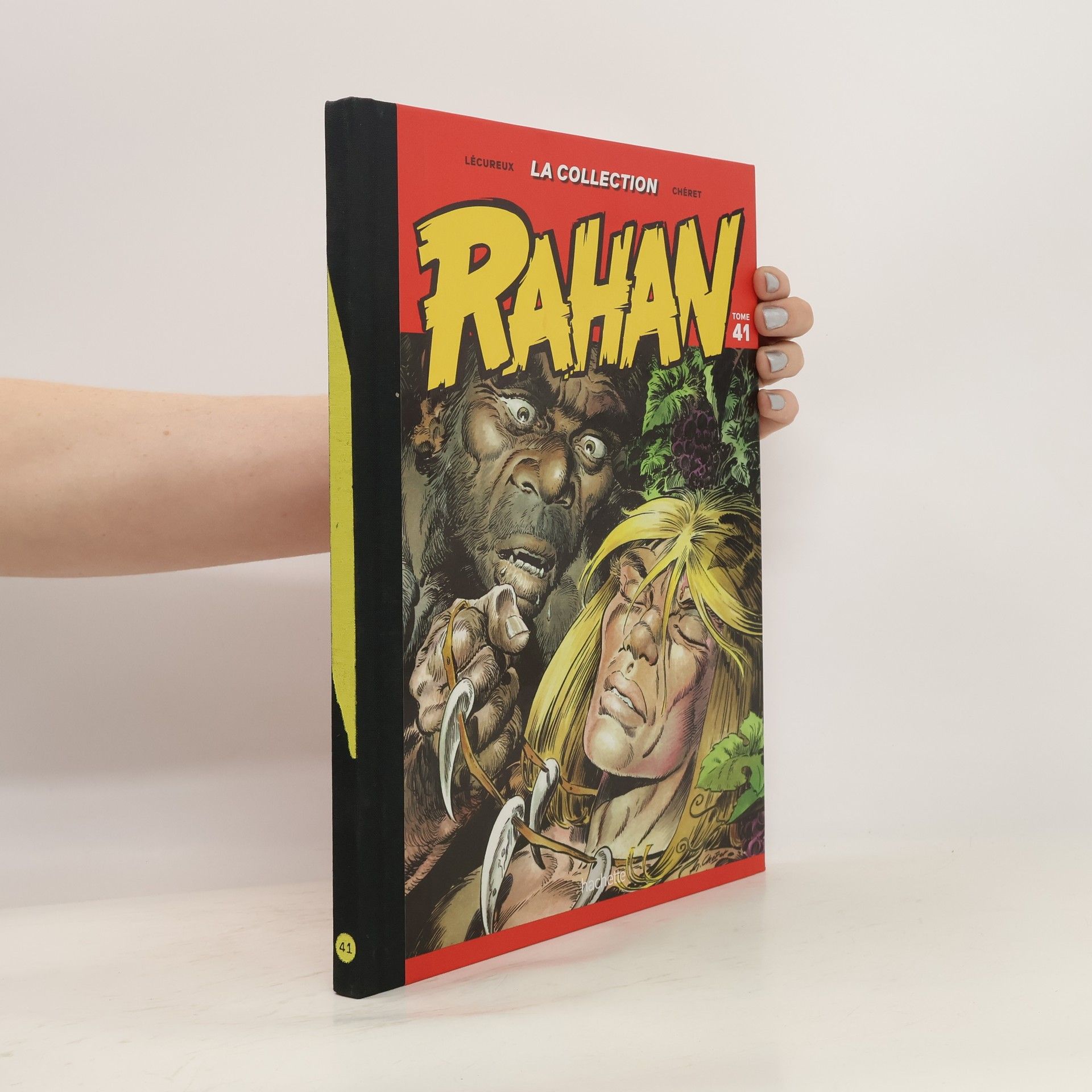 Collectif d'auteurs Rahan 41