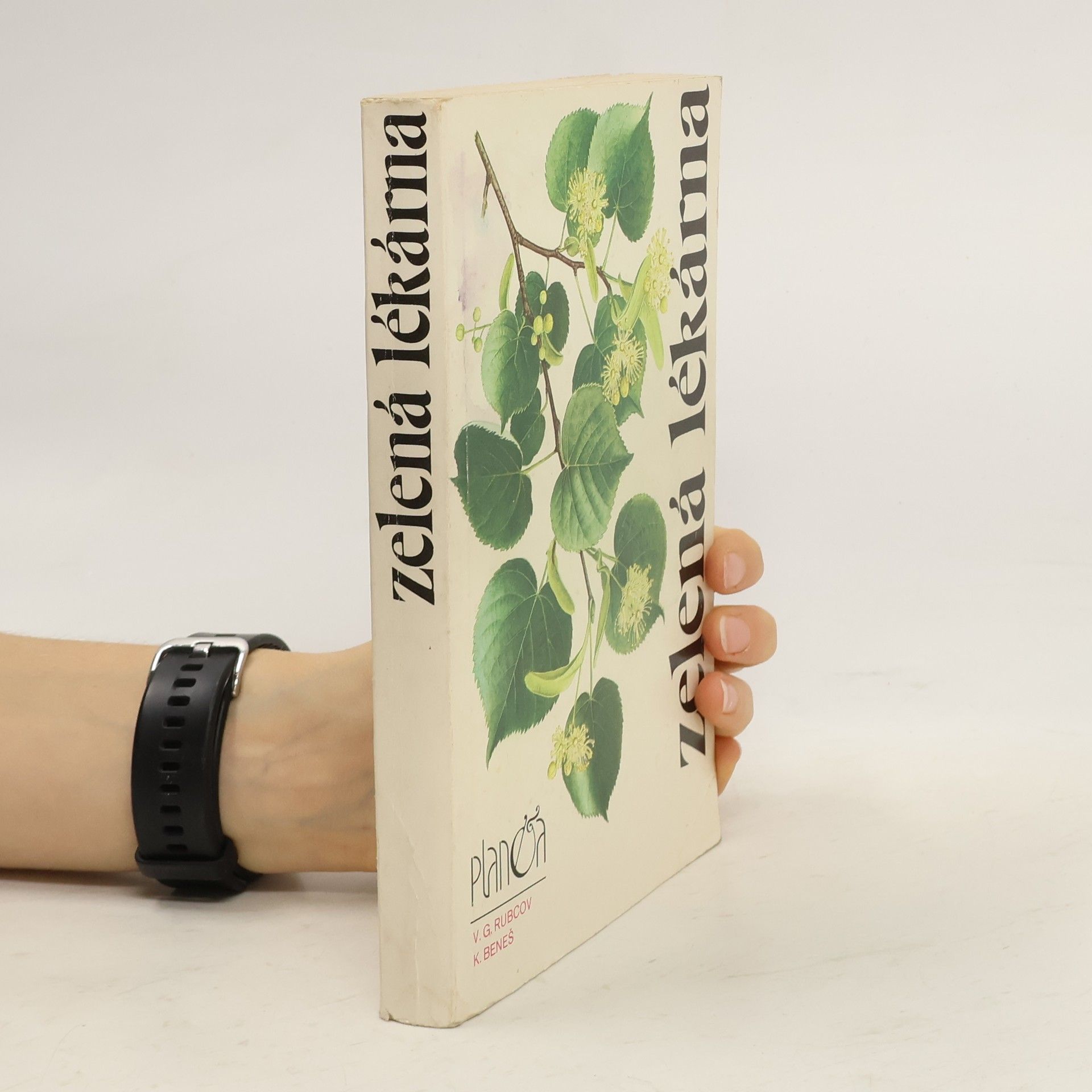 V. G. Rubcov Zelená lékárna