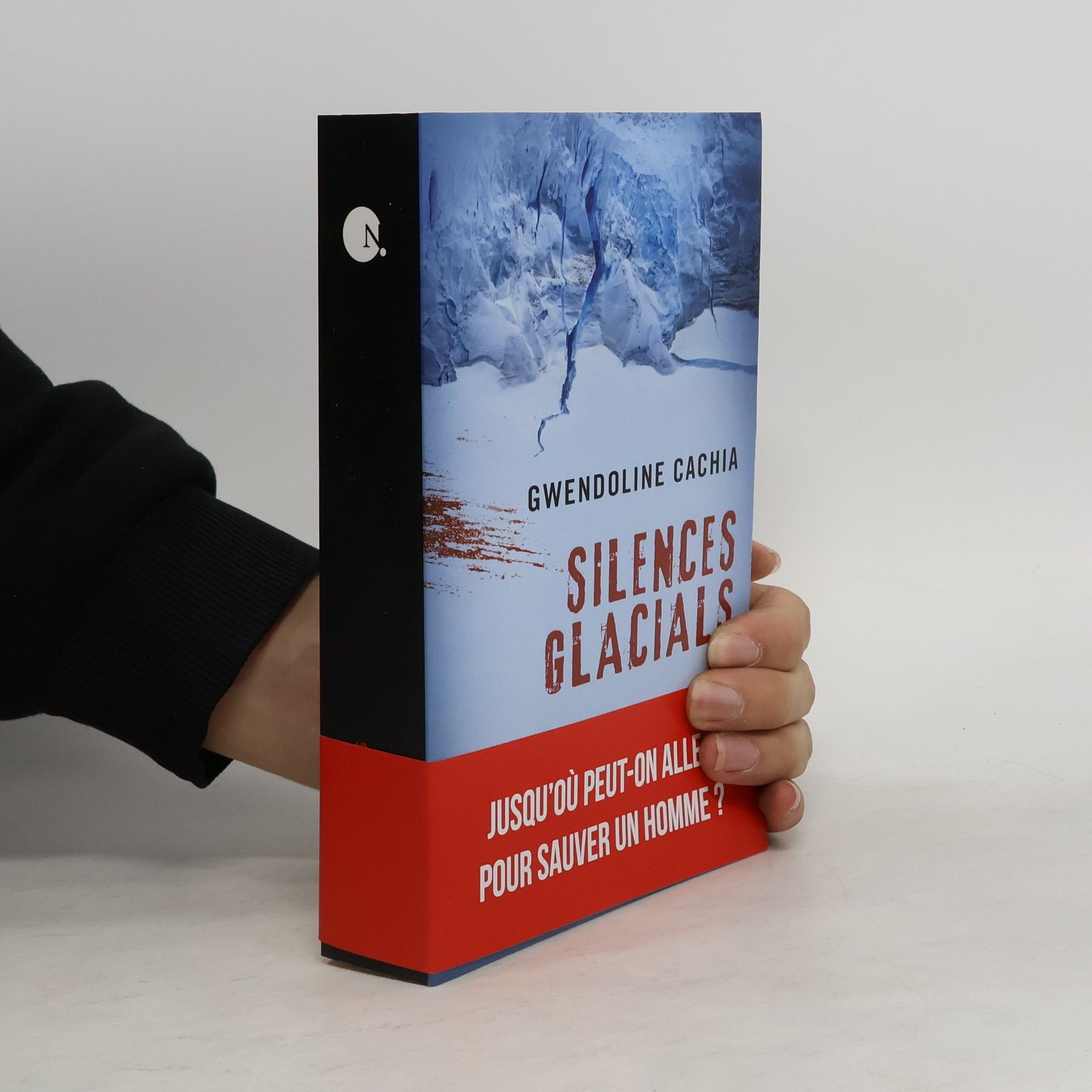 Gwendoline Cachia Silences glacials