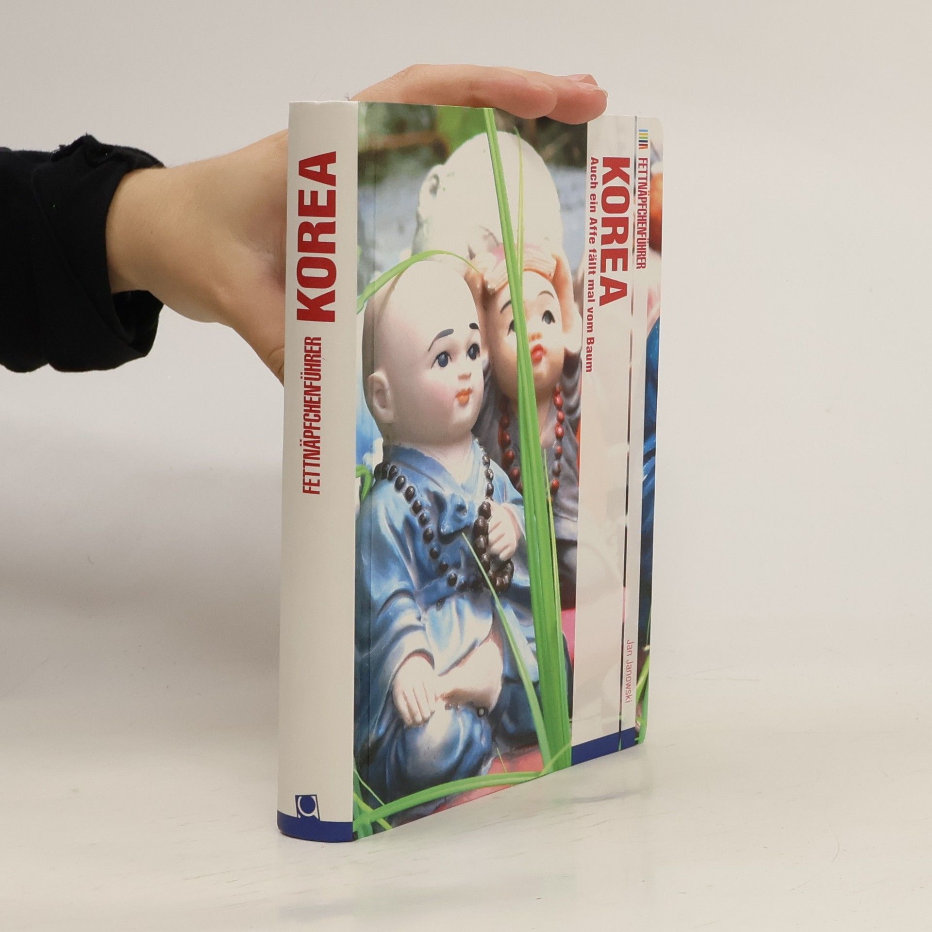 Fettnäpfchenführer Korea