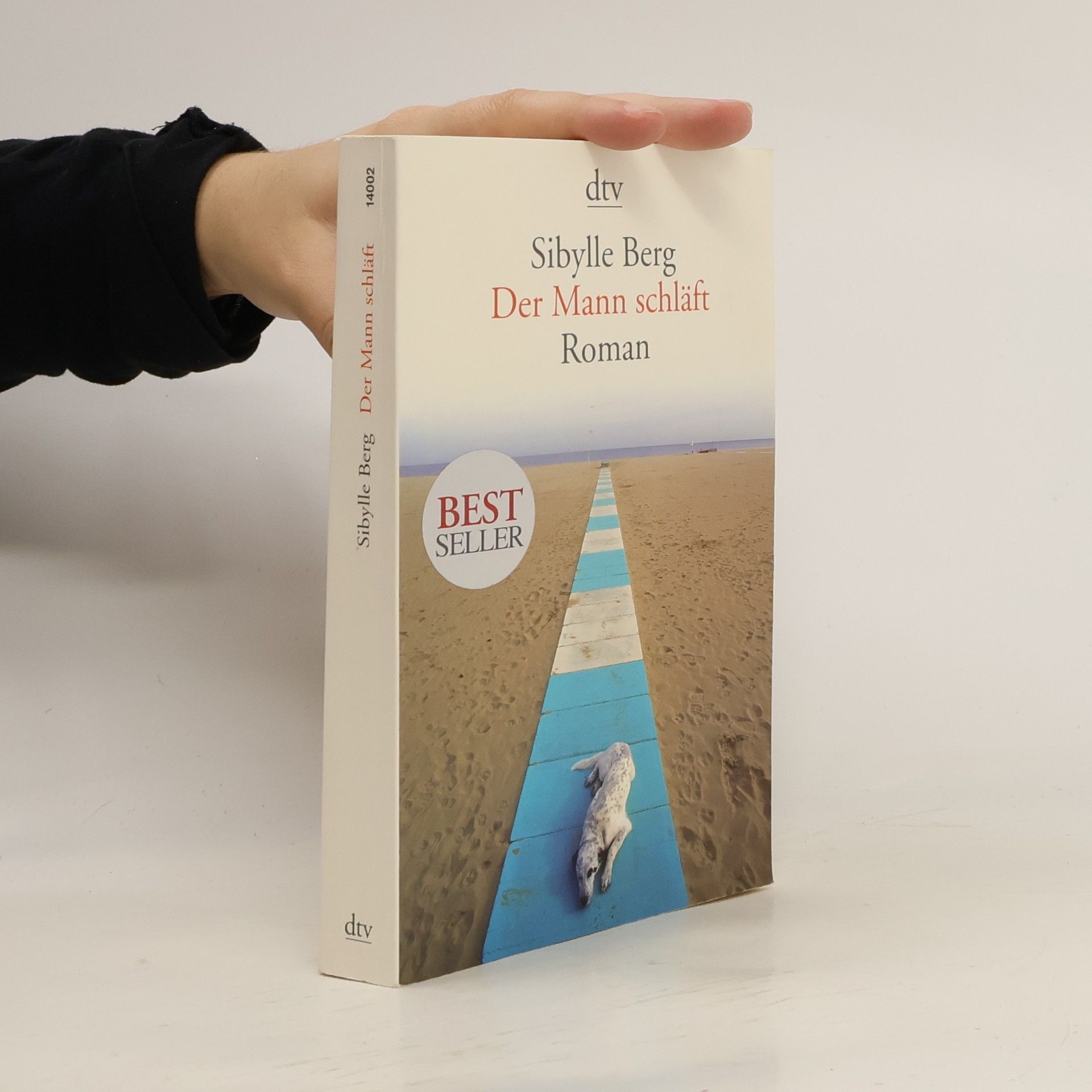 Sibylle Berg Der Mann schläft