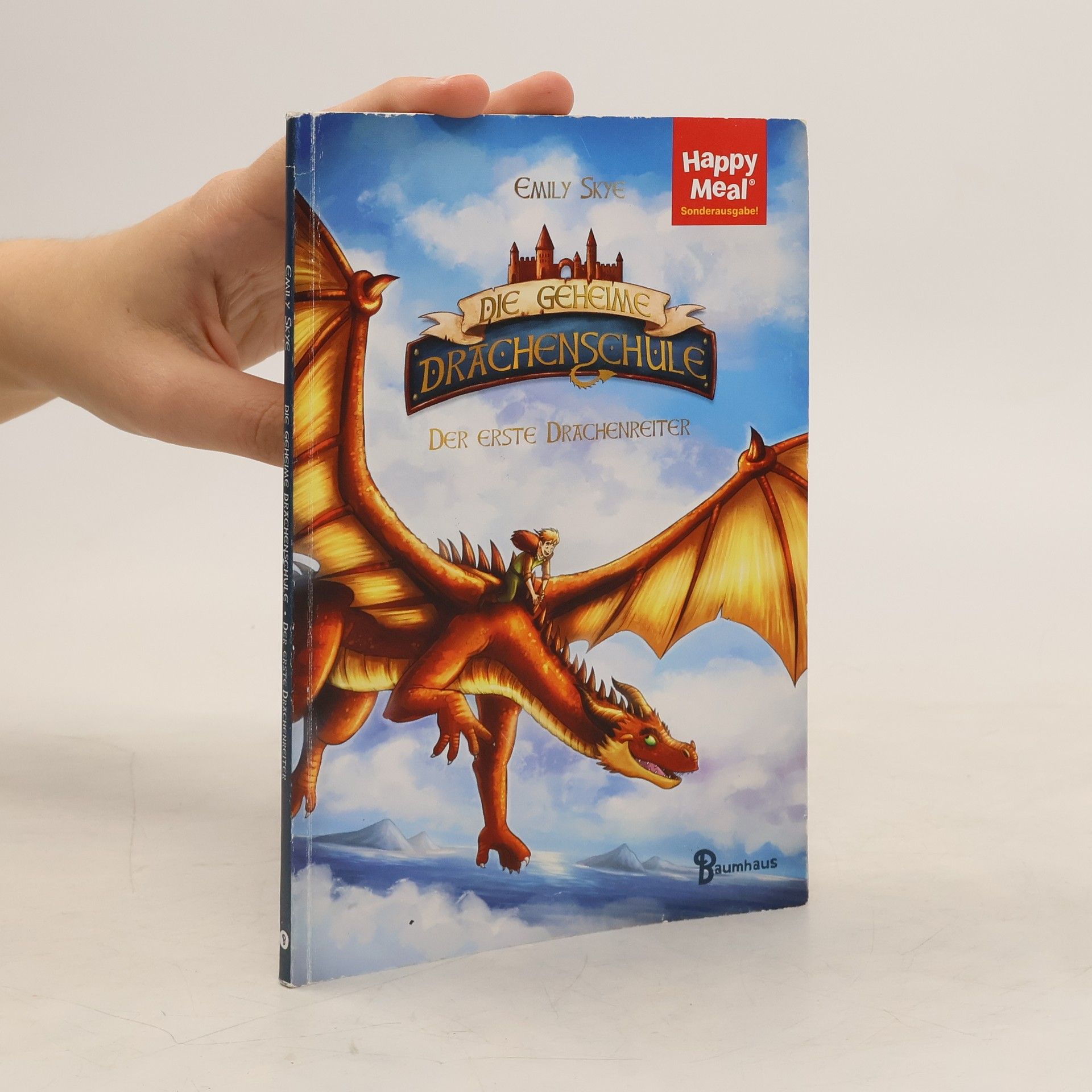 Emily Skye Die geheime Drachenschule
