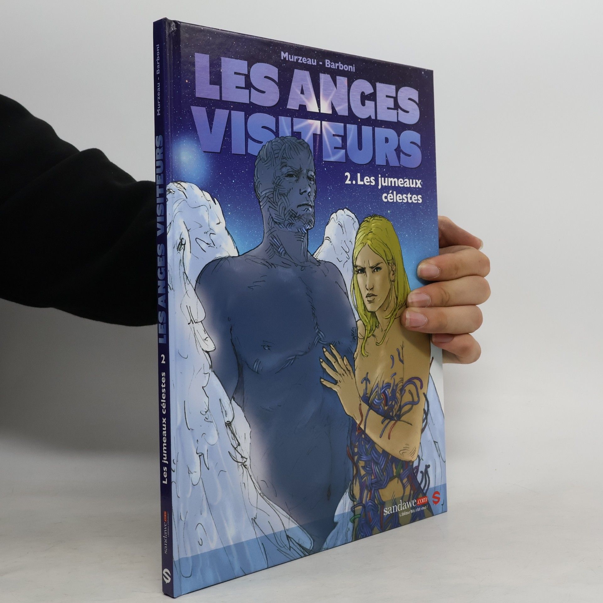 Murzeau Les anges visiteurs - 2: Les jumeaux célestes