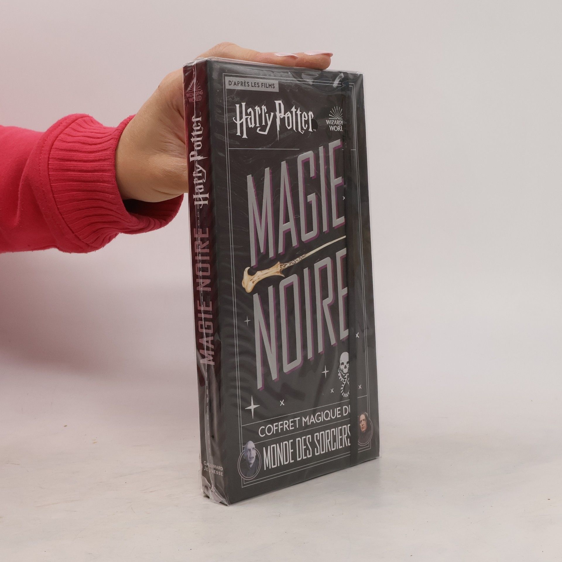 Collectif d'auteurs Harry Potter. Magie noire