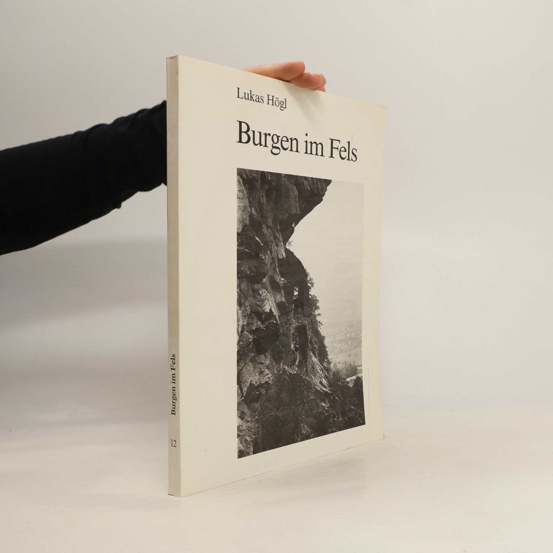 Lukas Högl Burgen im Fels