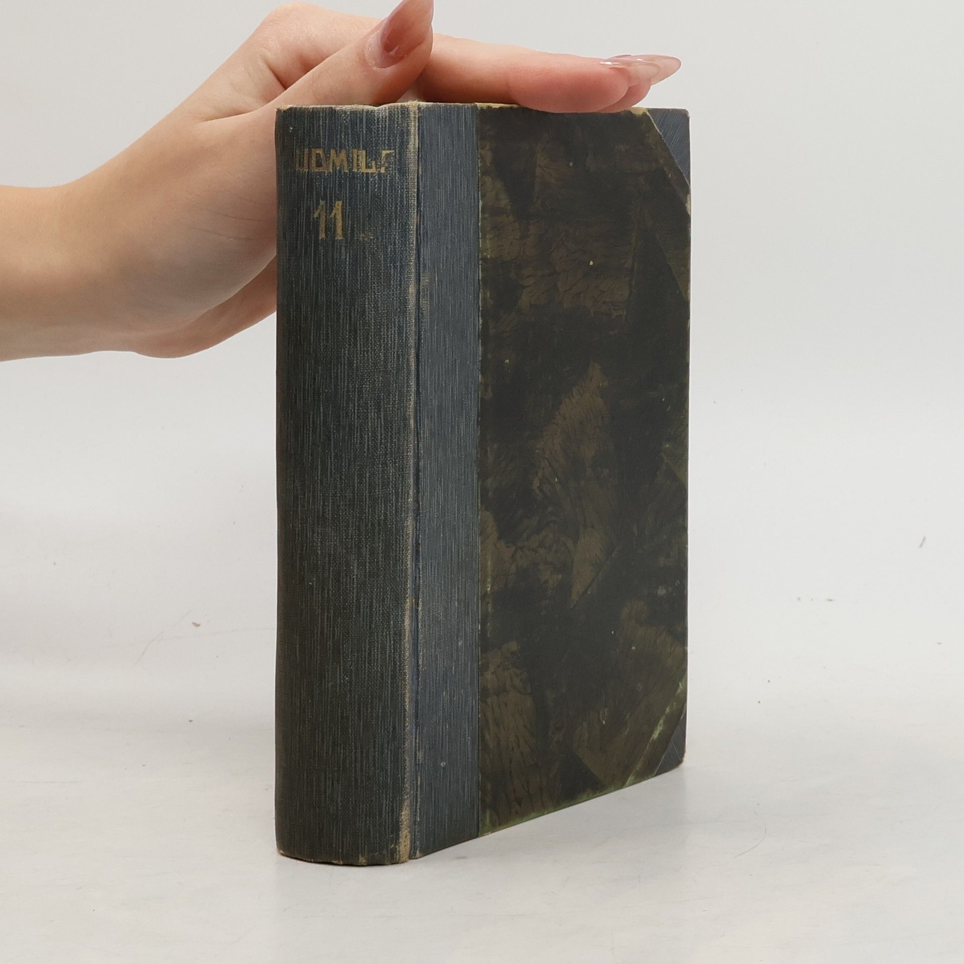 Petr Kopal Defraudant