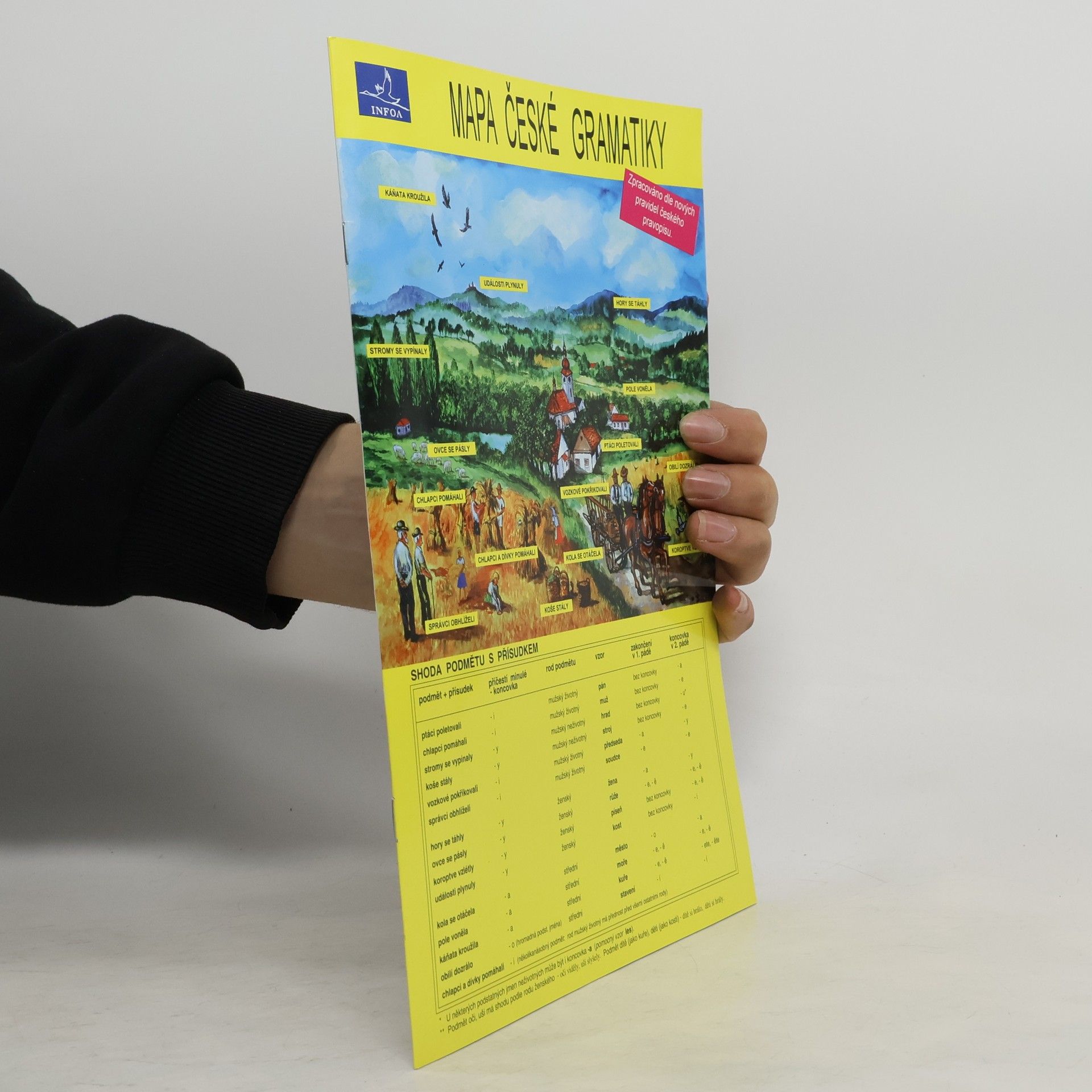 Stanislav Soják Mapa české gramatiky