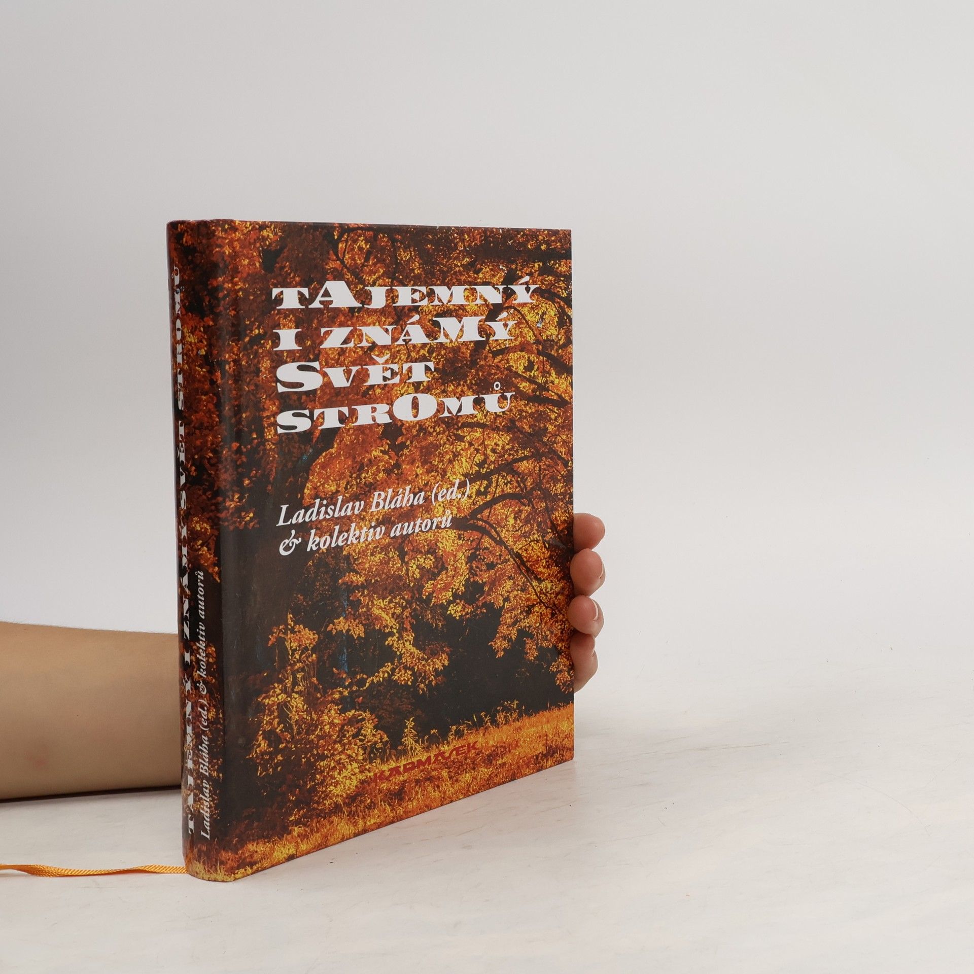 Tajemný i známý svět stromů