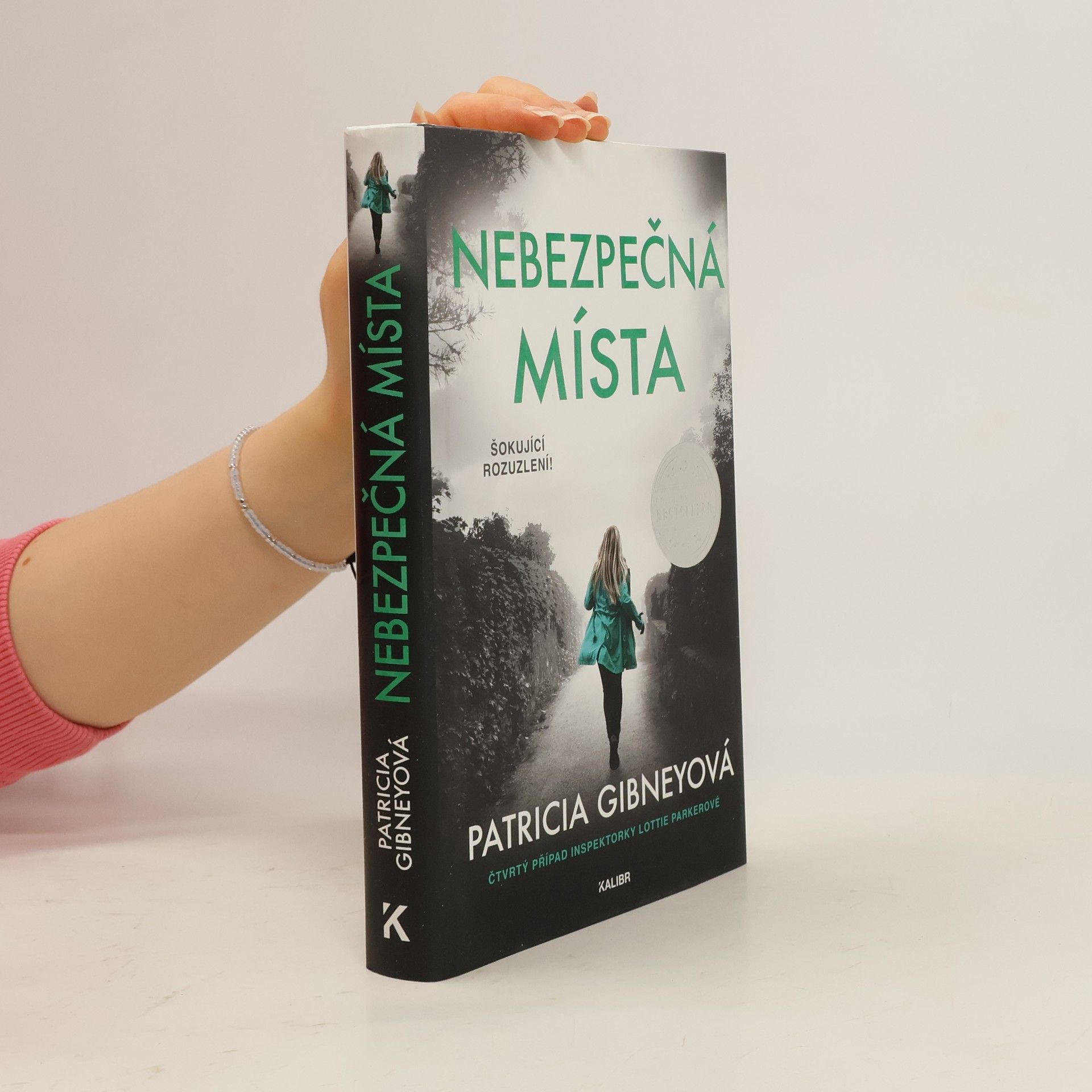 Patricia Gibney Nebezpečná místa