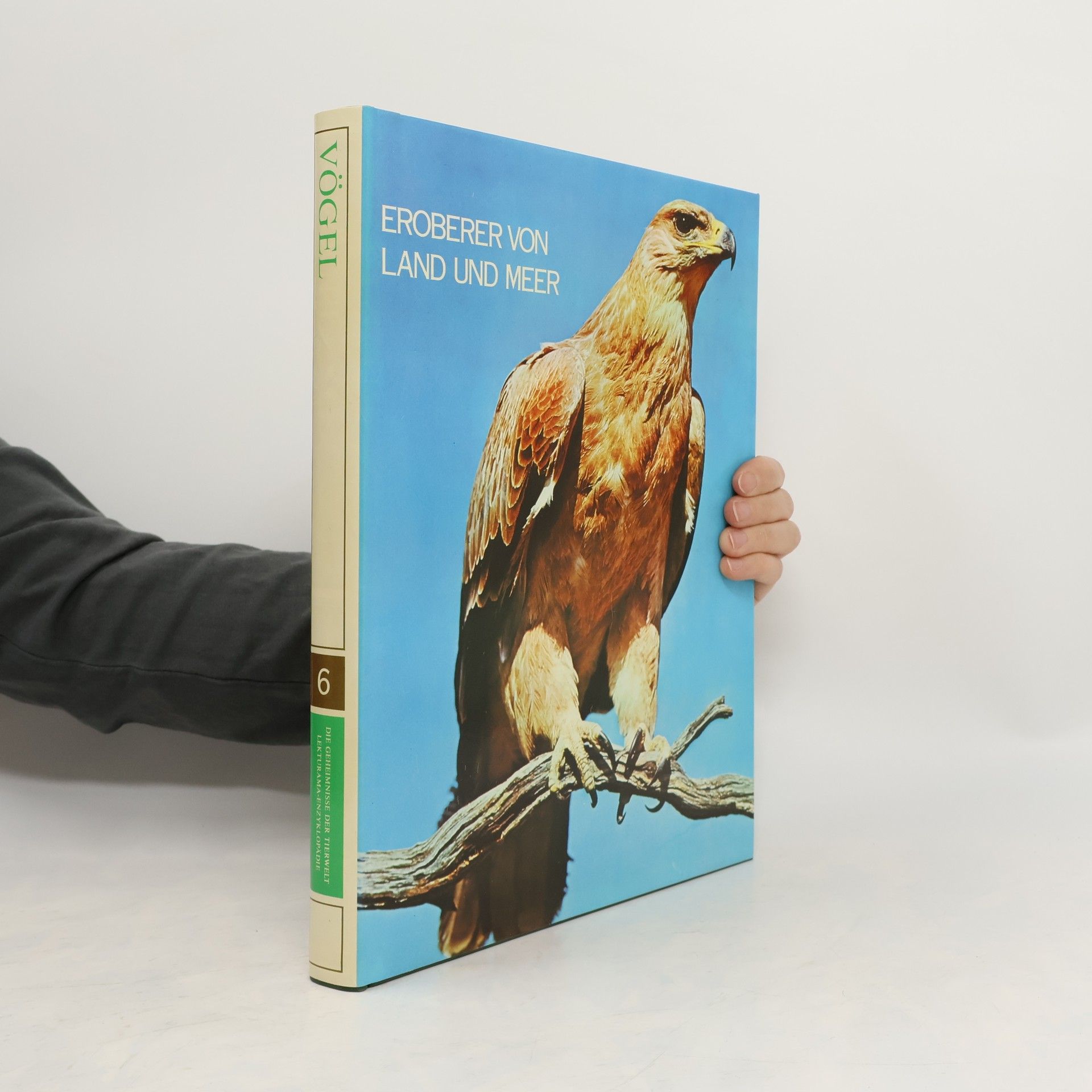 Autores varios Vögel. Eroberer von Land und Meer