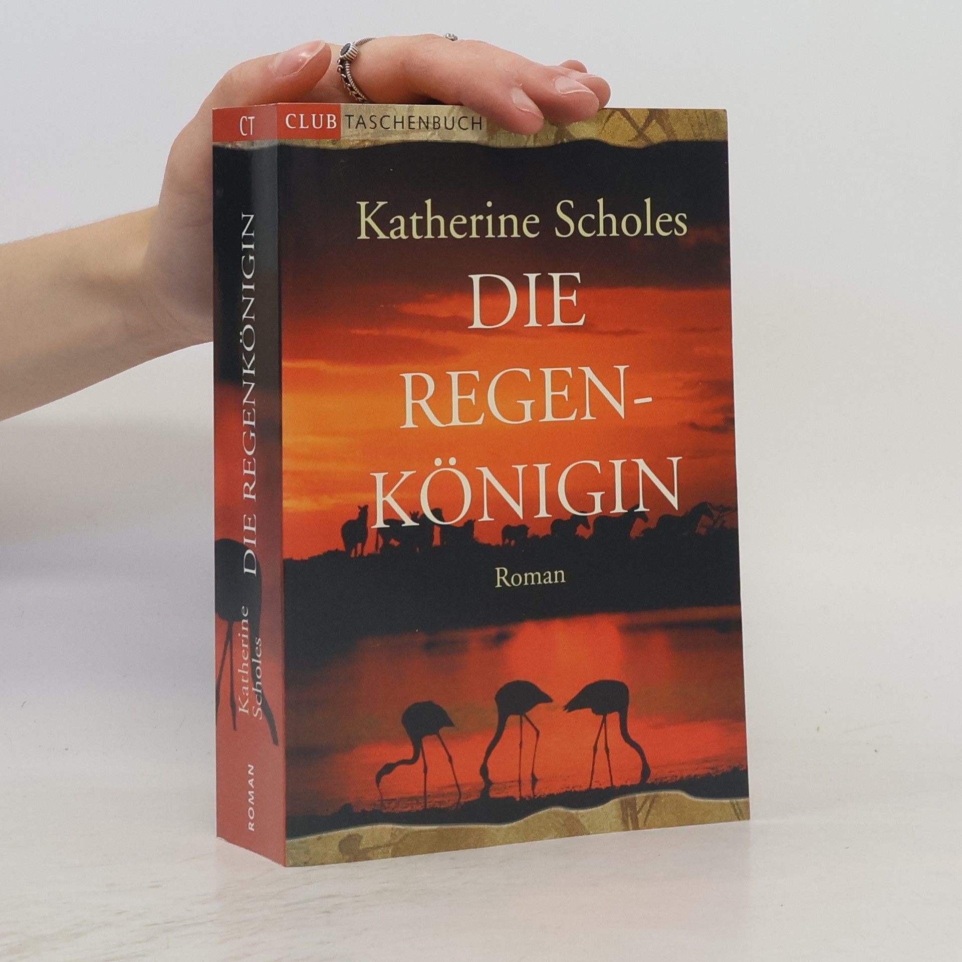 Katherine Scholes Die Regenkönigin