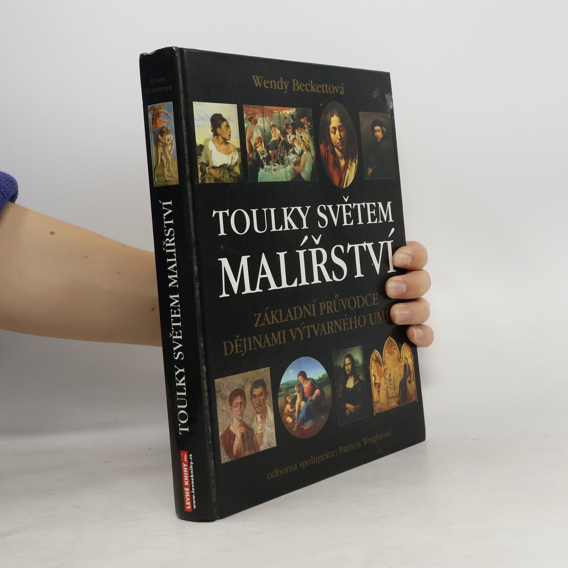 Wendy Beckett Toulky světem malířství