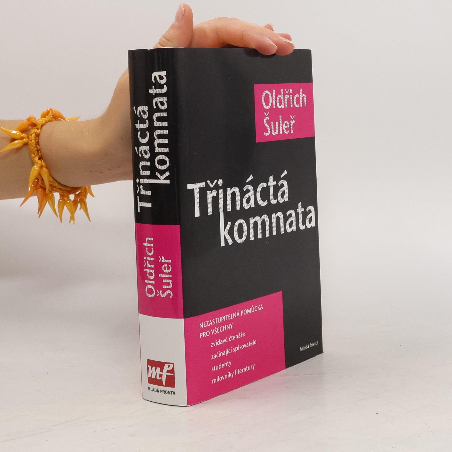 Oldřich Šuleř Třináctá komnata