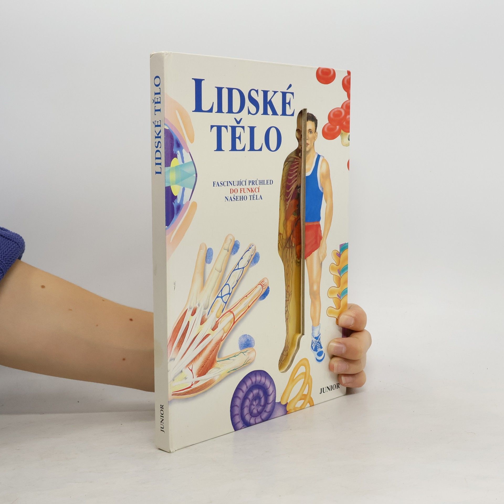 Ivo Pospíšil Lidské tělo : fascinující průhled do funkcí našeho těla