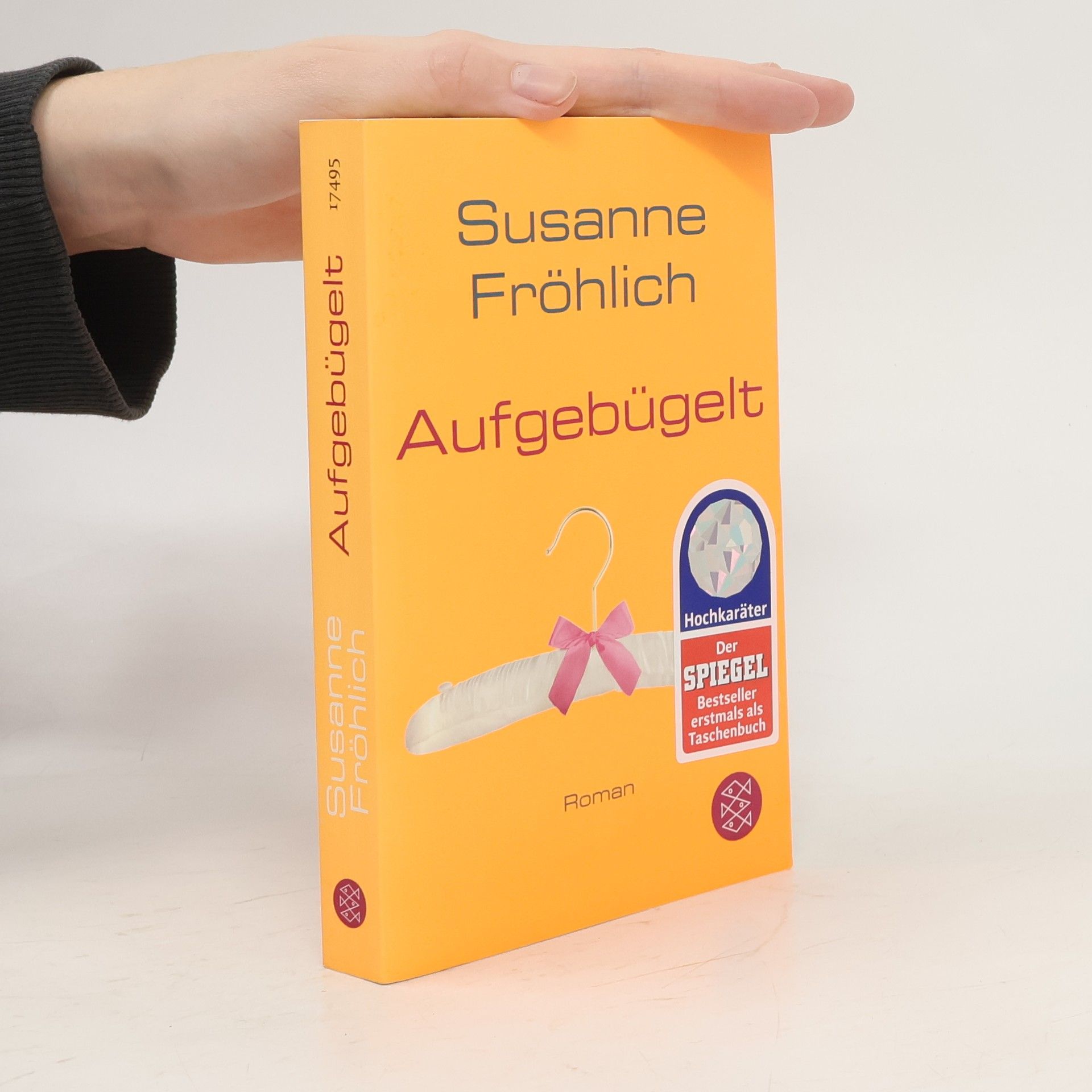 Susanne Fröhlich Aufgebügelt