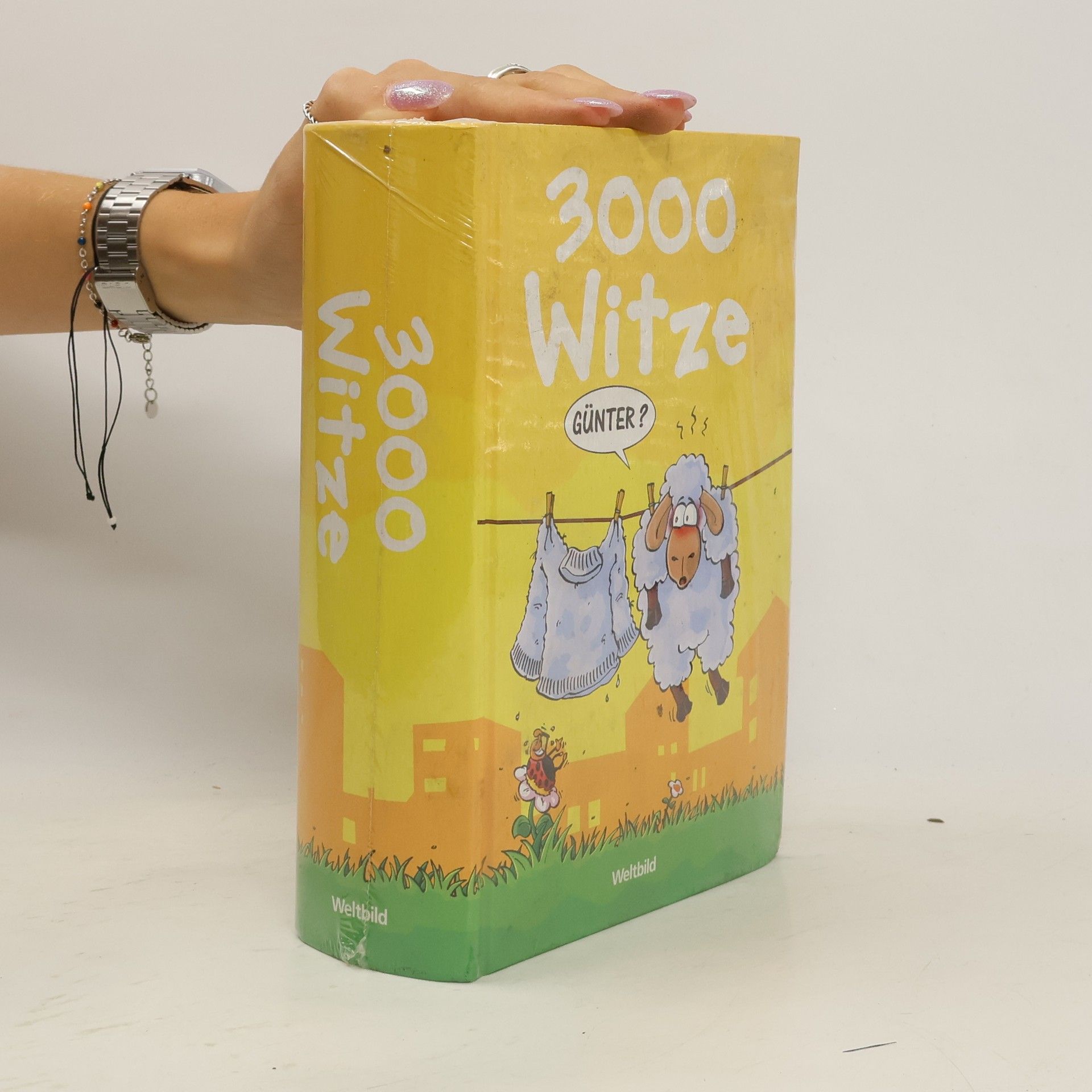 AA.VV. 3000 Witze