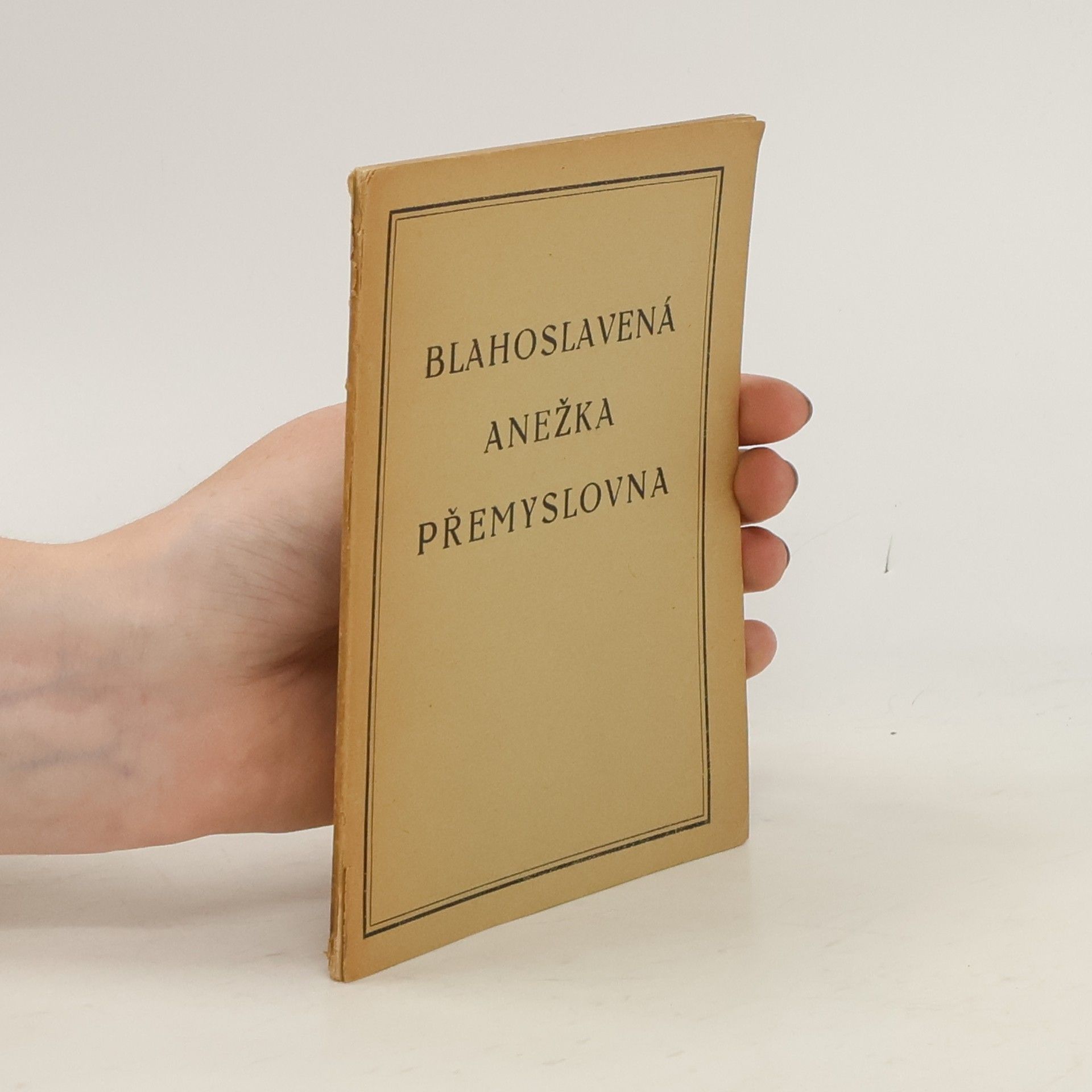 Kolektiv autorů Blahoslavená Anežka Přemyslovna