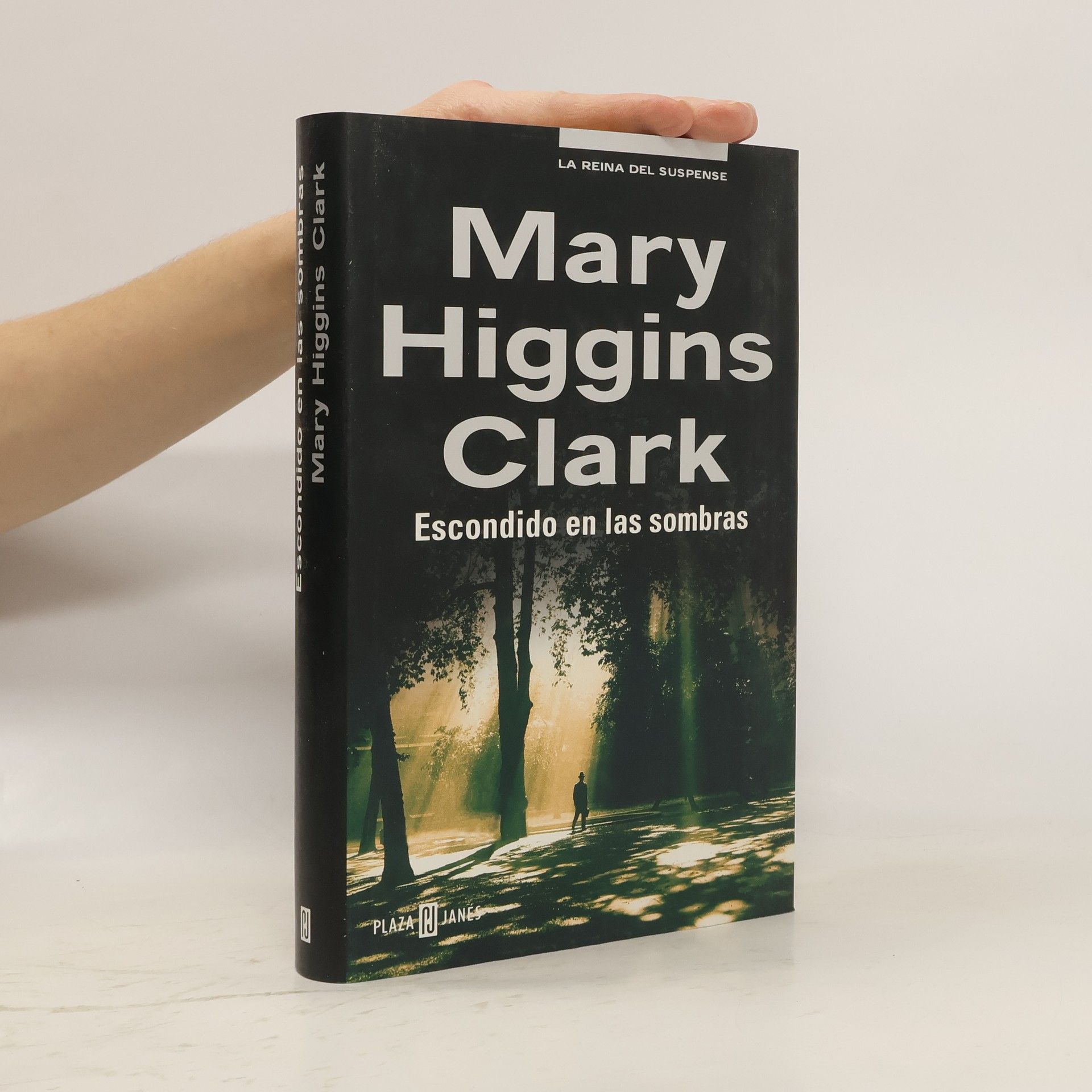 Escondido en las sombras