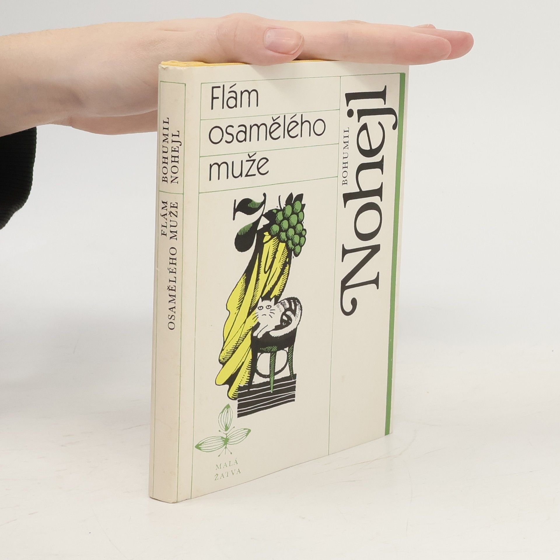 Flám osamělého muže